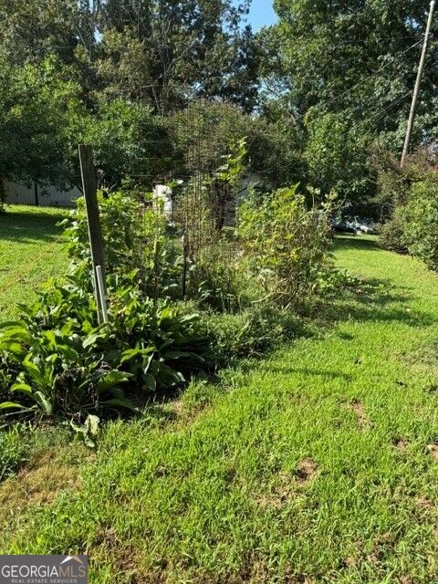 303 Georgianna Street Property Photo 26