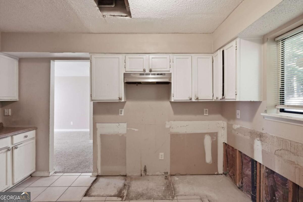 1001 Chapman Lane Property Photo 14
