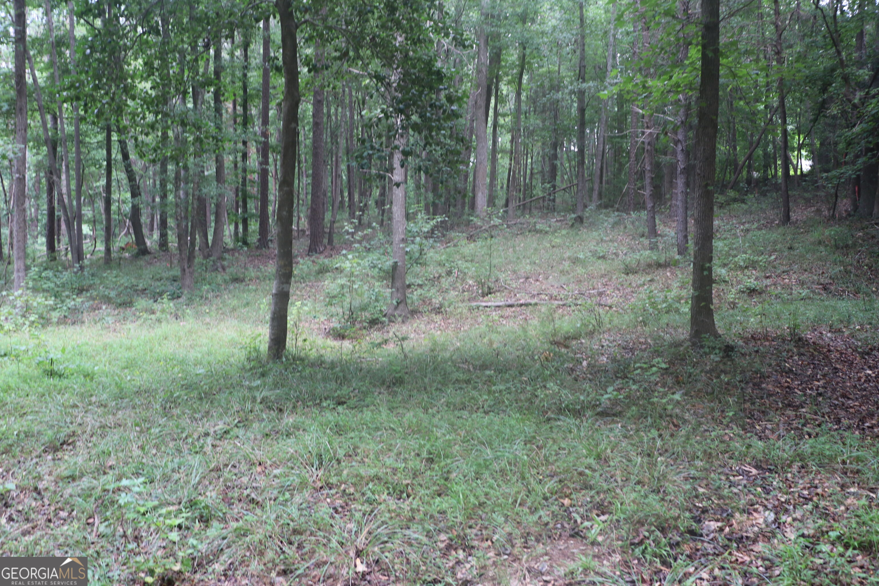 330 Mountain View Road Property Photo 1