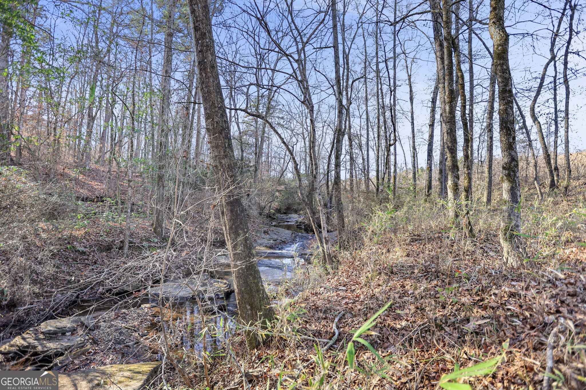 52.2 Ac Franklin Parkway Property Photo 1