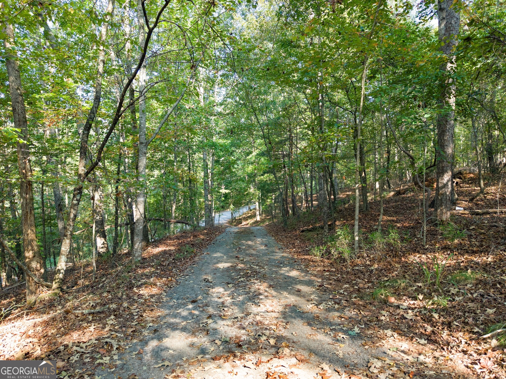 350 Old River Road Property Photo 5