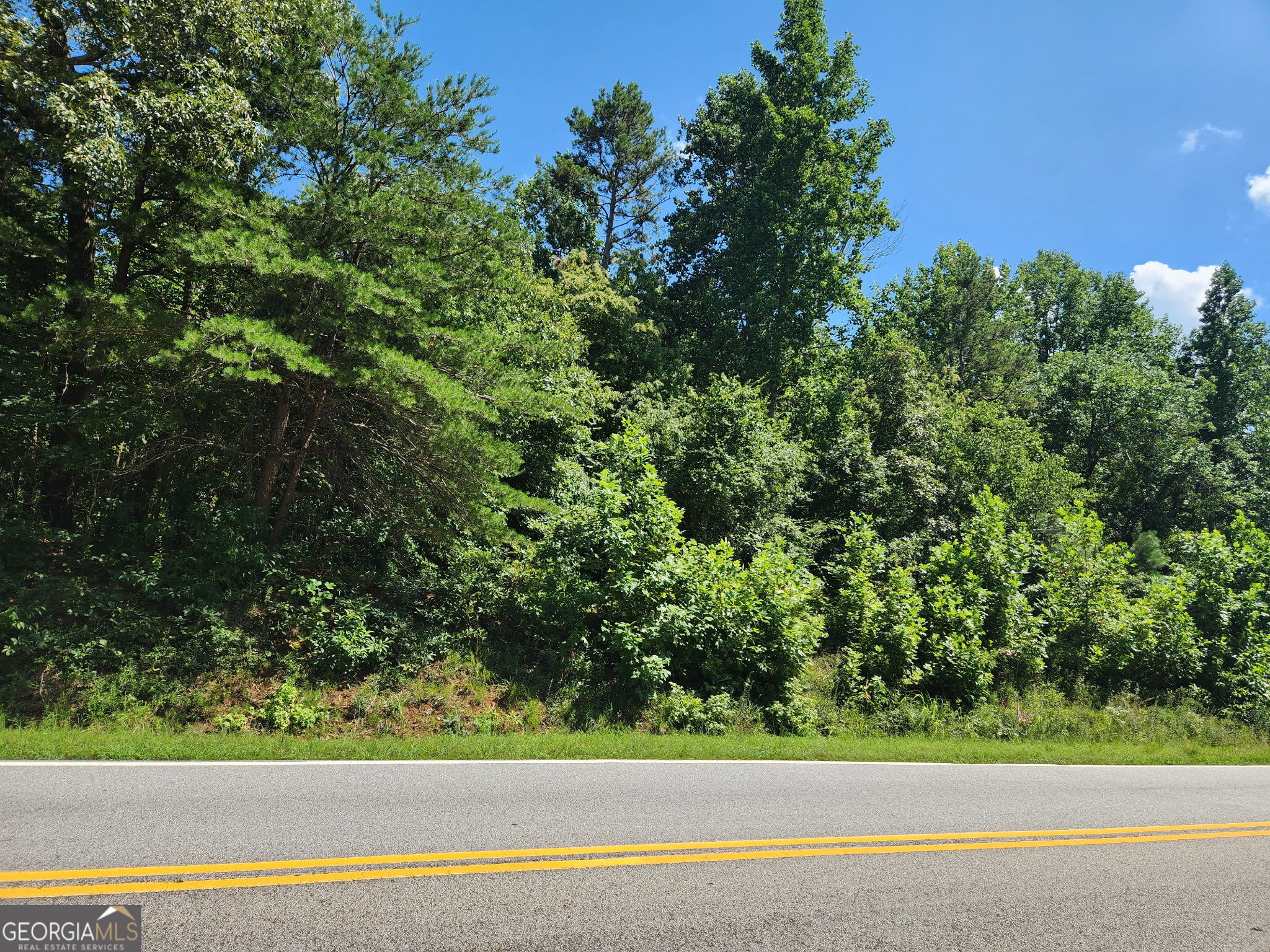 0 Spring Road Property Photo 5