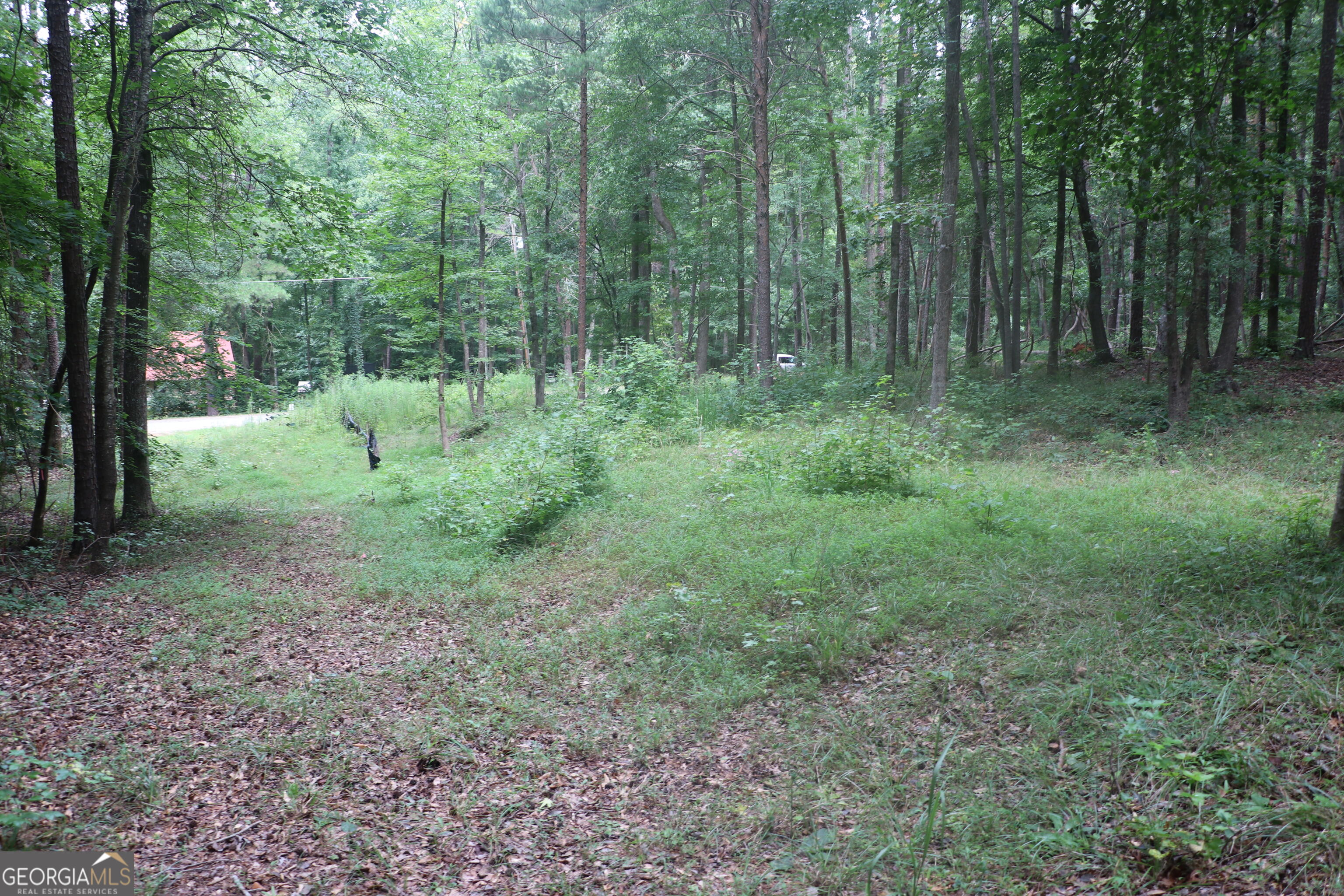 304 Mountain View Road Property Photo 1