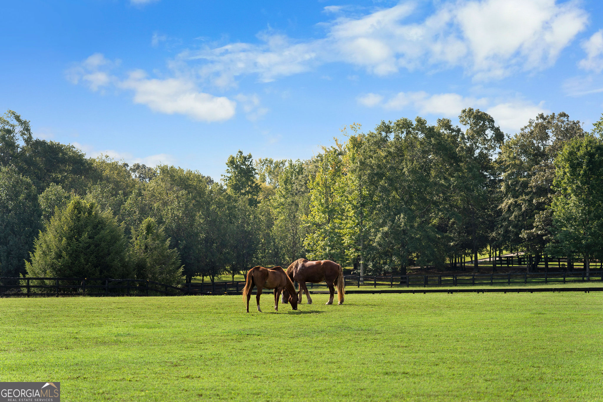 75 Rivercreek Crossing Property Photo 5