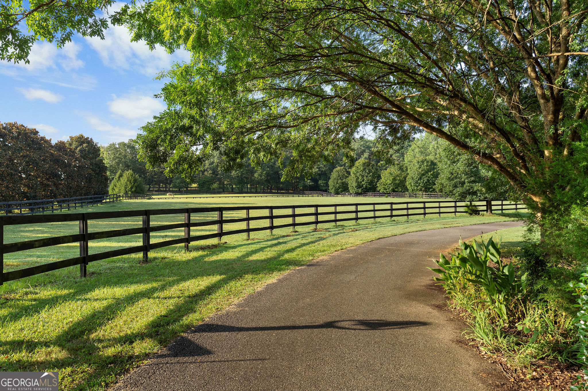 75 Rivercreek Crossing Property Photo 8