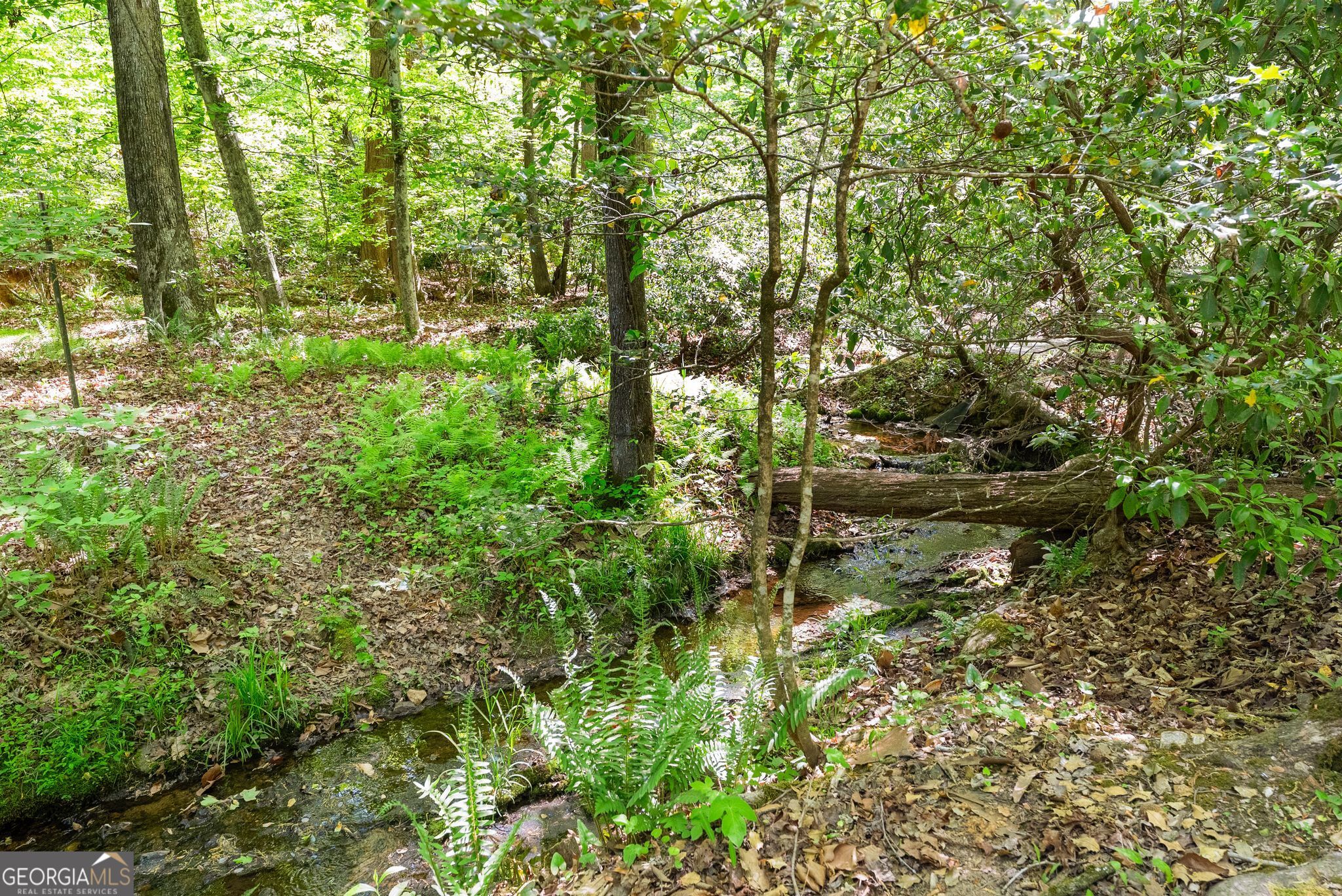 3560 Greystone Road Property Photo 54