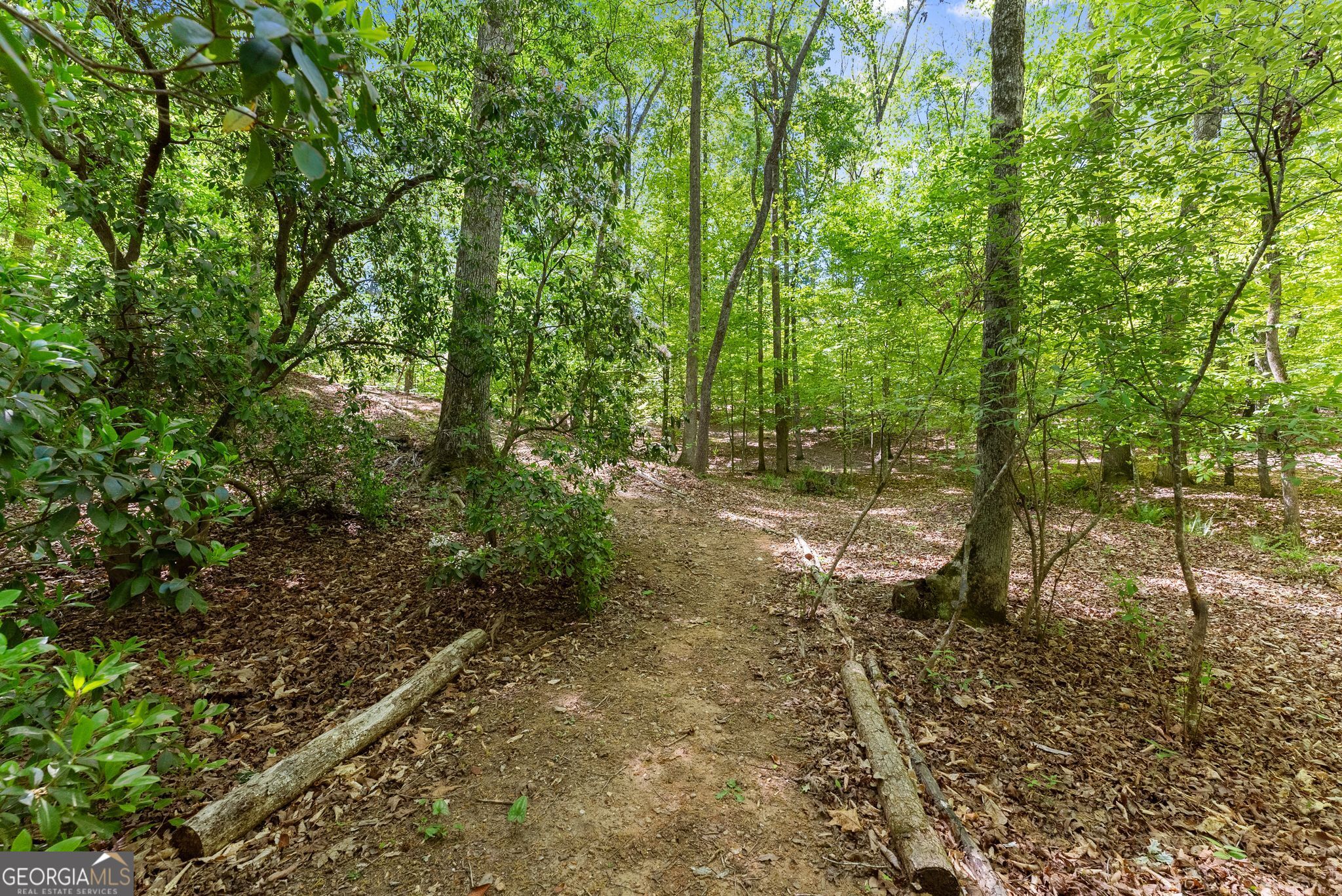 3560 Greystone Road Property Photo 56