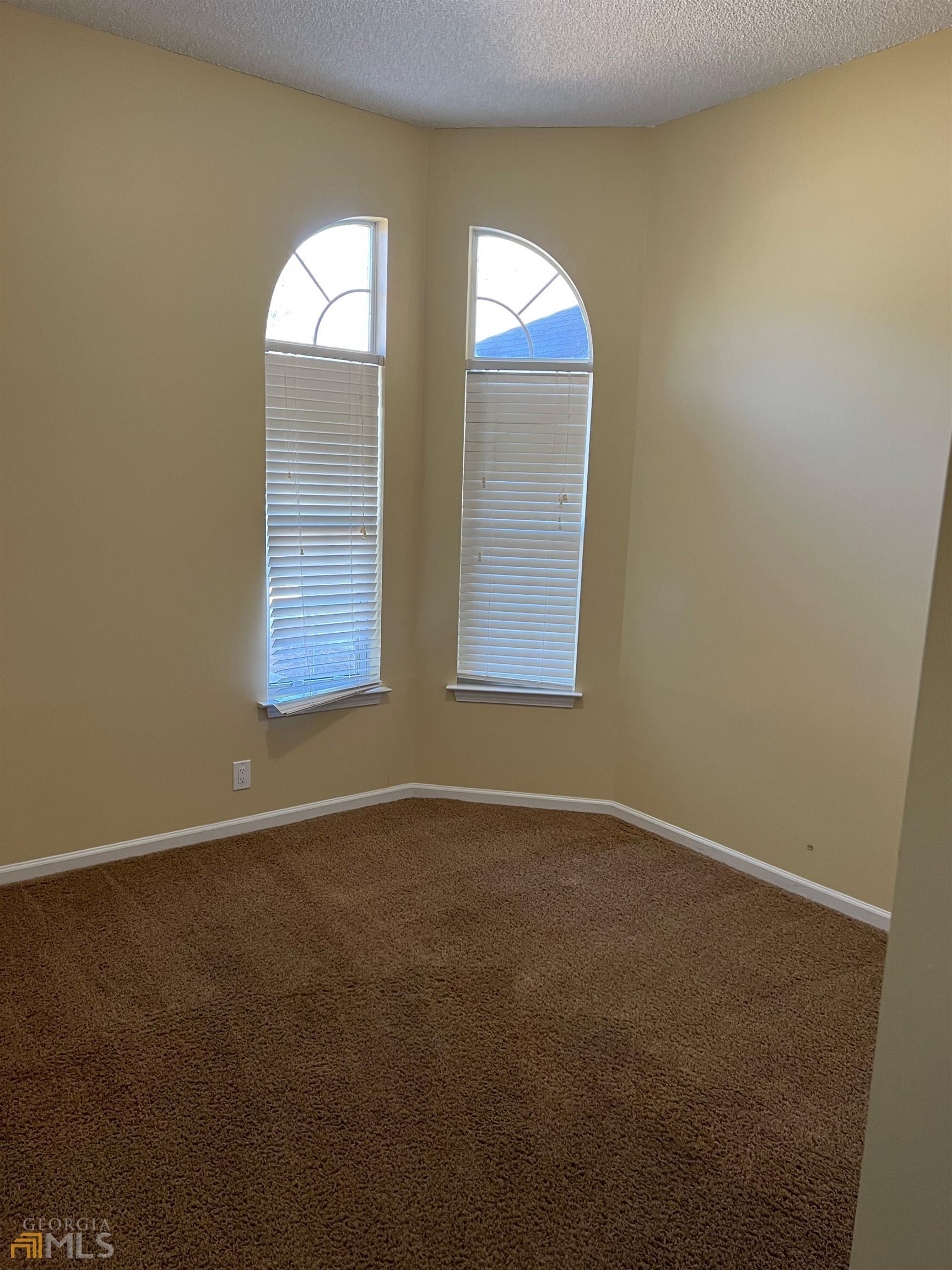 602 Wild Grape Drive Property Photo 10