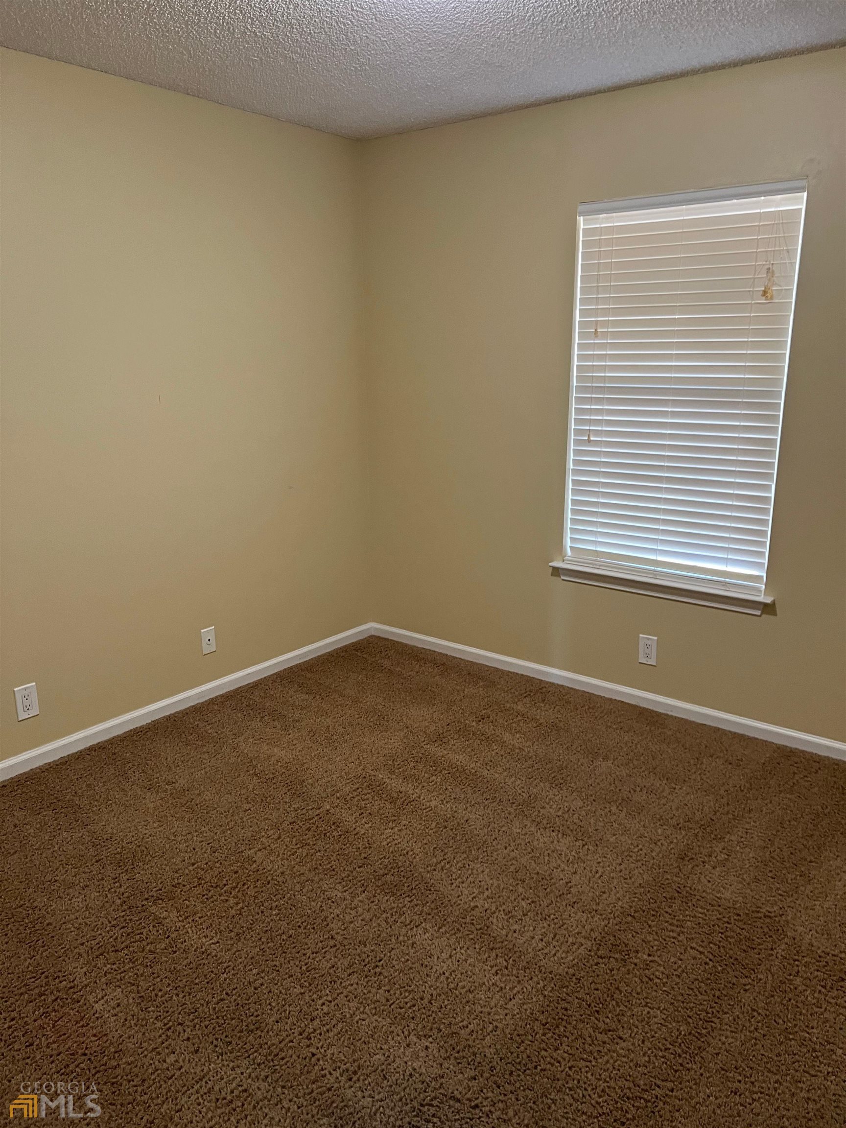 602 Wild Grape Drive Property Photo 11