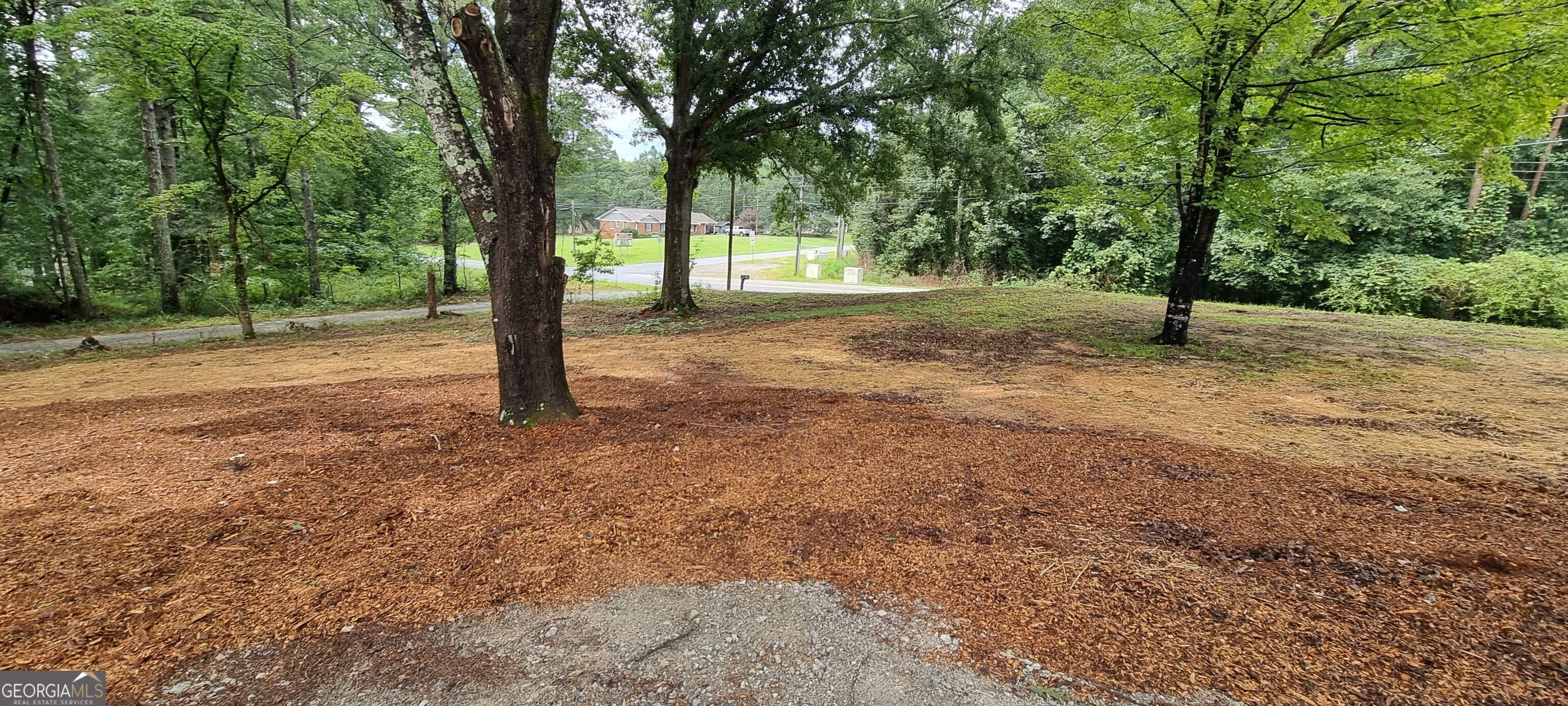 7980 Cedar Grove Road Property Photo 5