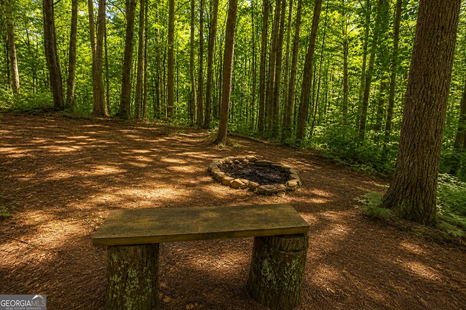 11296 Old Ccc Camp Road Property Photo 31