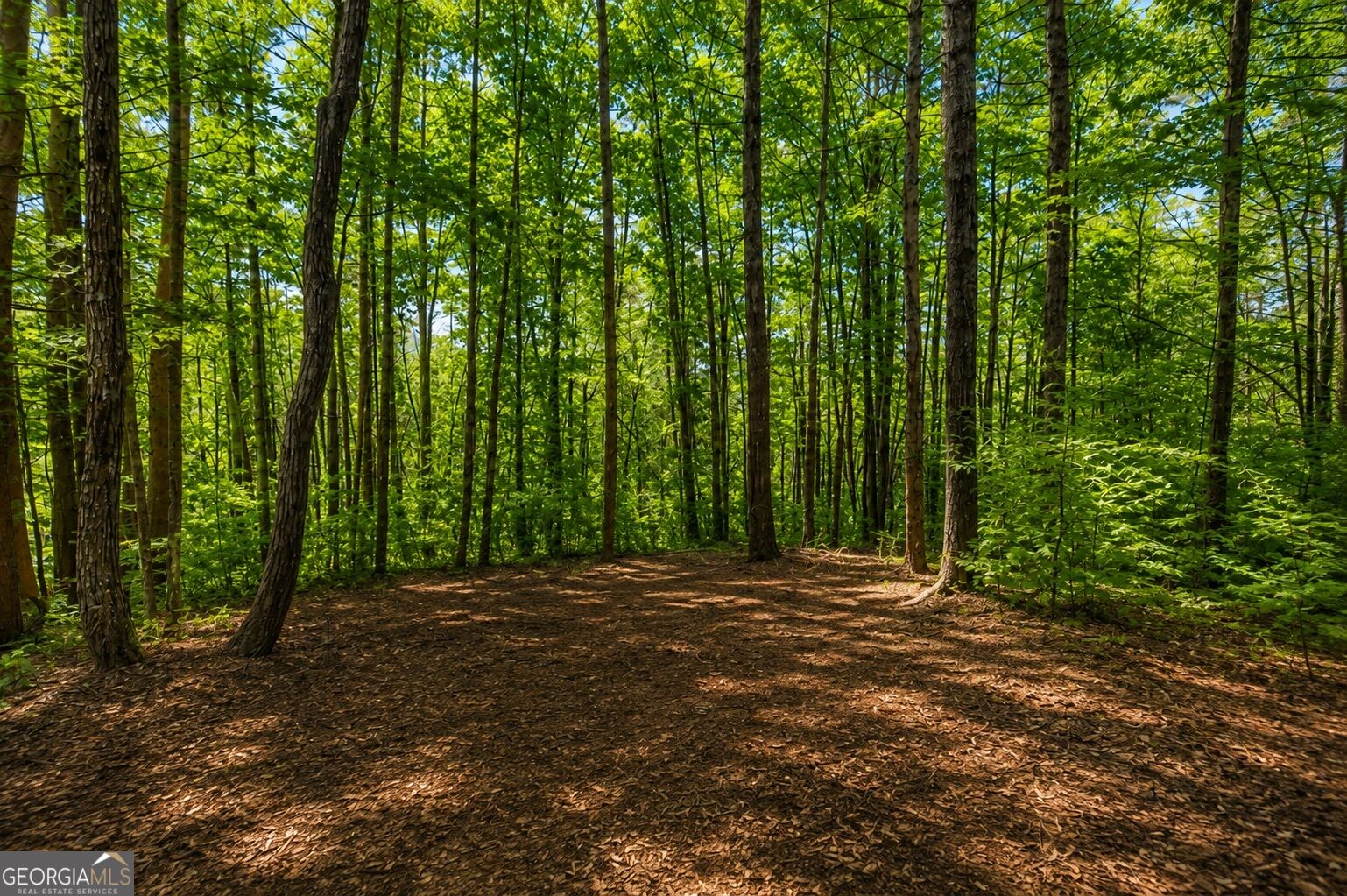 11296 Old Ccc Camp Road Property Photo 32