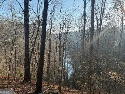 0 Elk Trail Property Photo 4