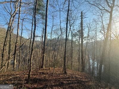 0 Elk Trail Property Photo 5