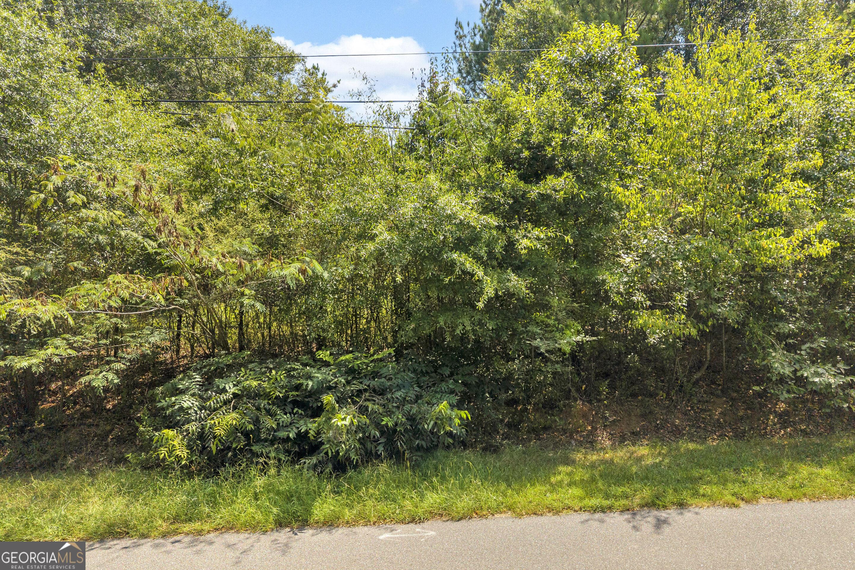 0 Poplar Road Property Photo 6