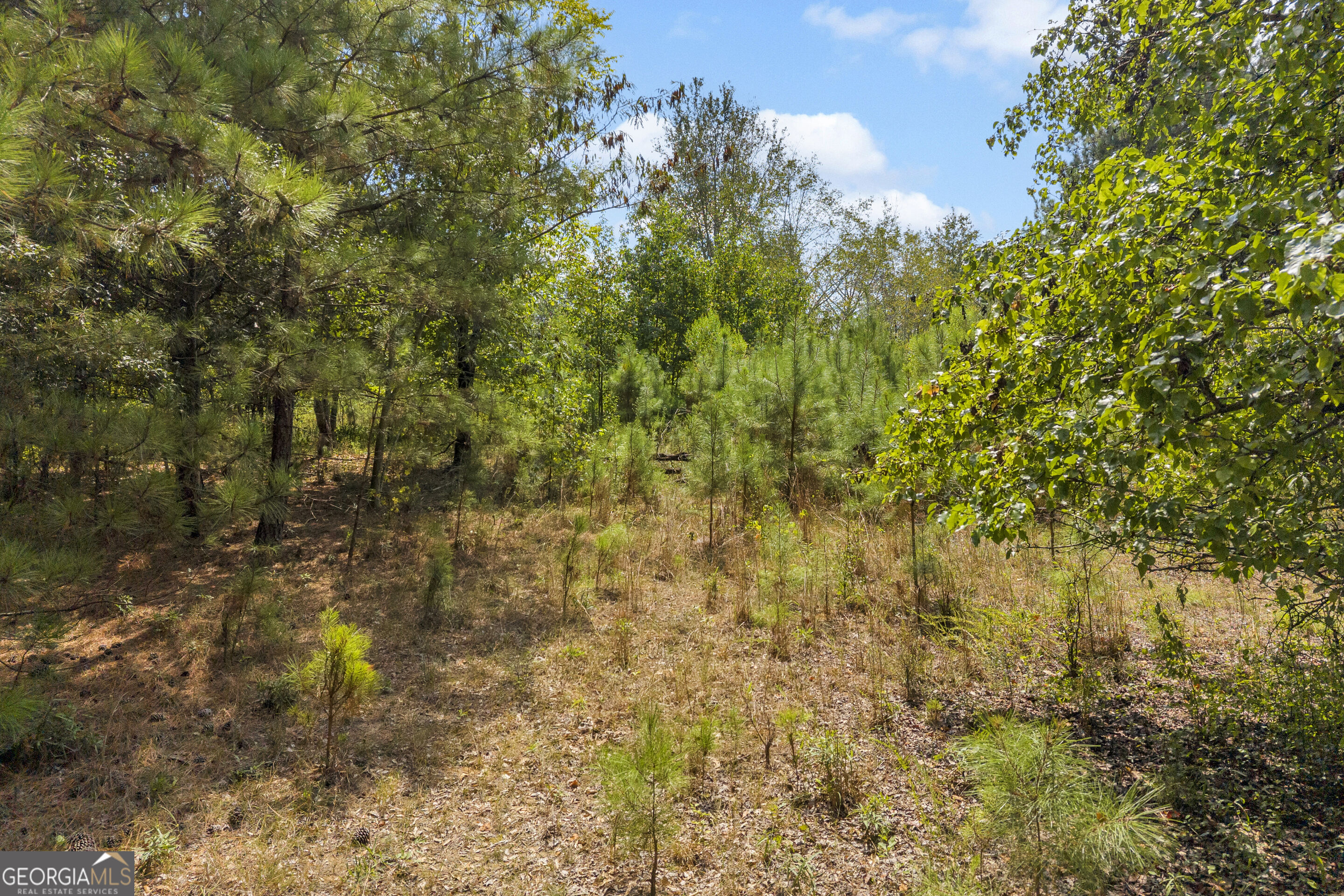 0 Poplar Road Property Photo 7