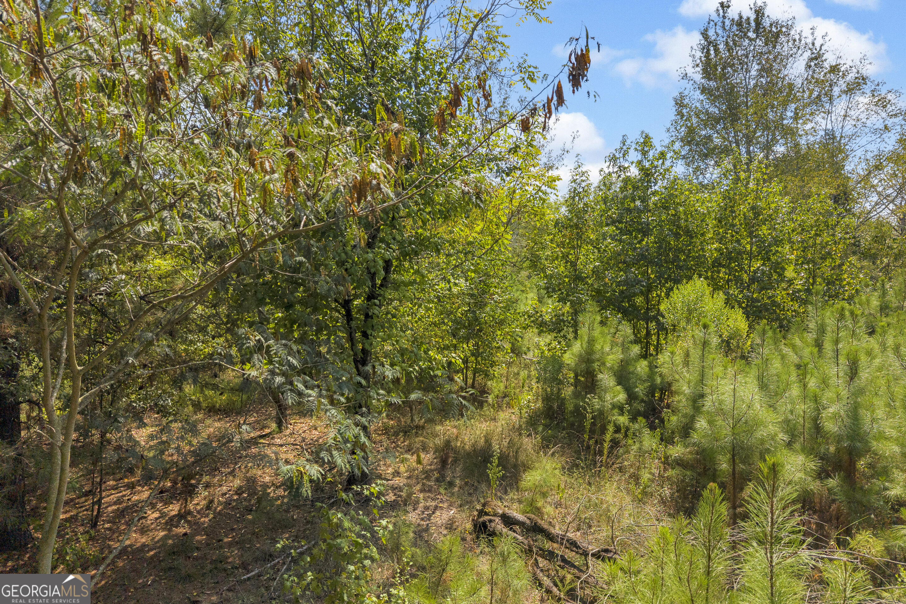 0 Poplar Road Property Photo 8