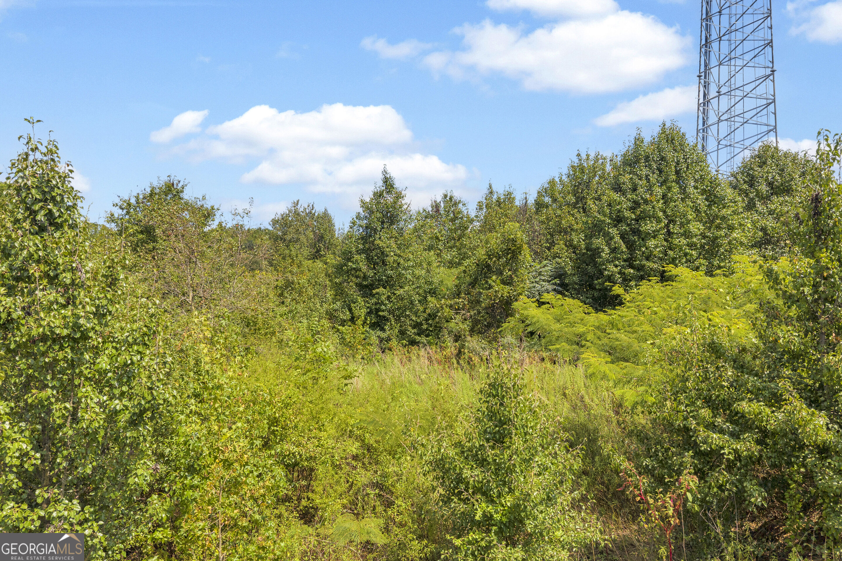 0 Poplar Road Property Photo 9