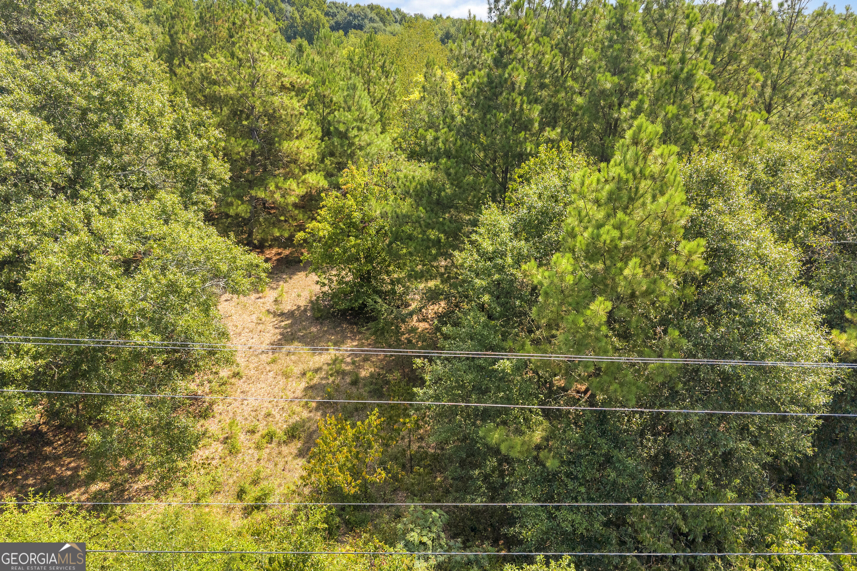 0 Poplar Road Property Photo 11