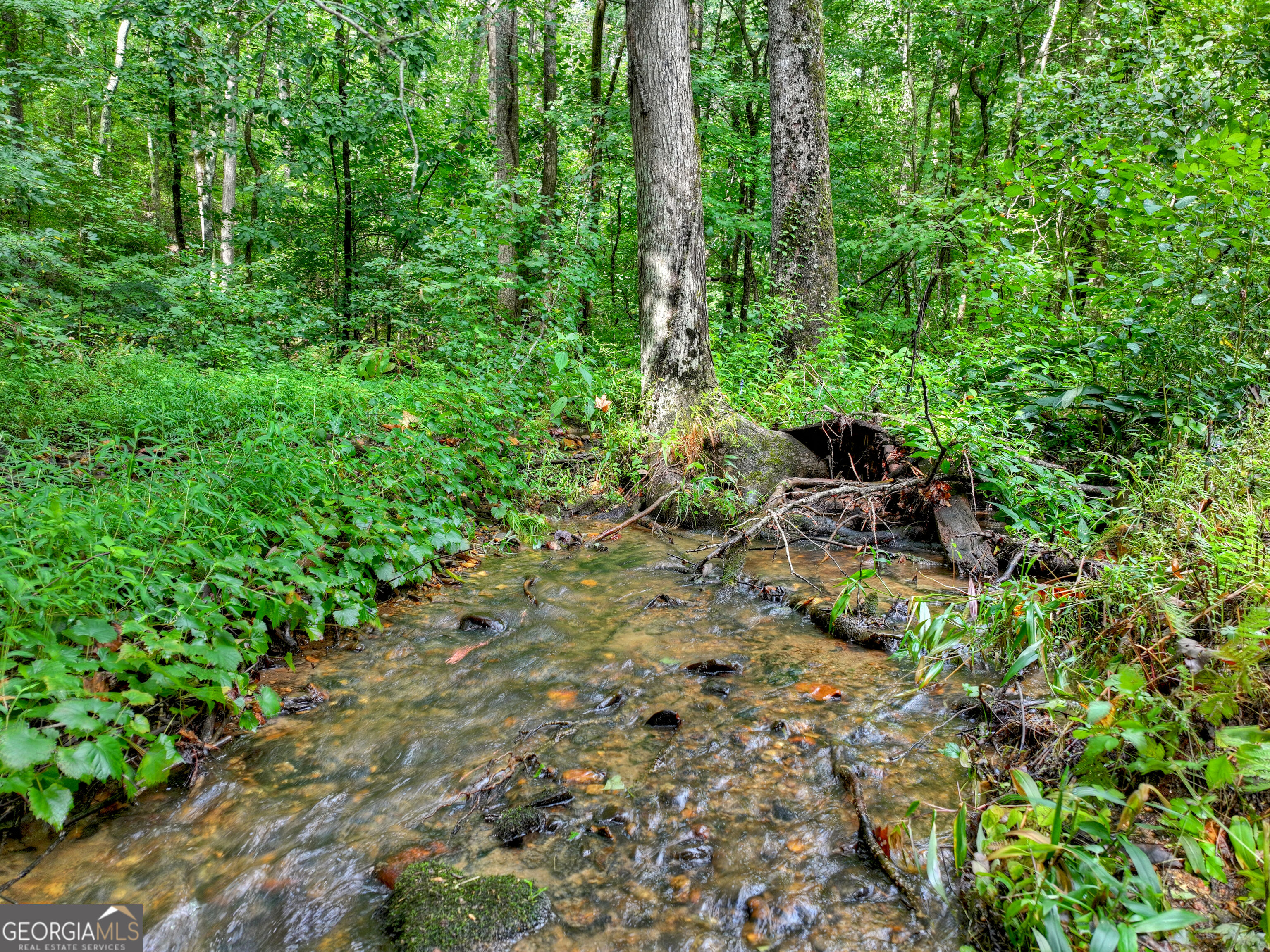 606 Johntown Road Property Photo 15