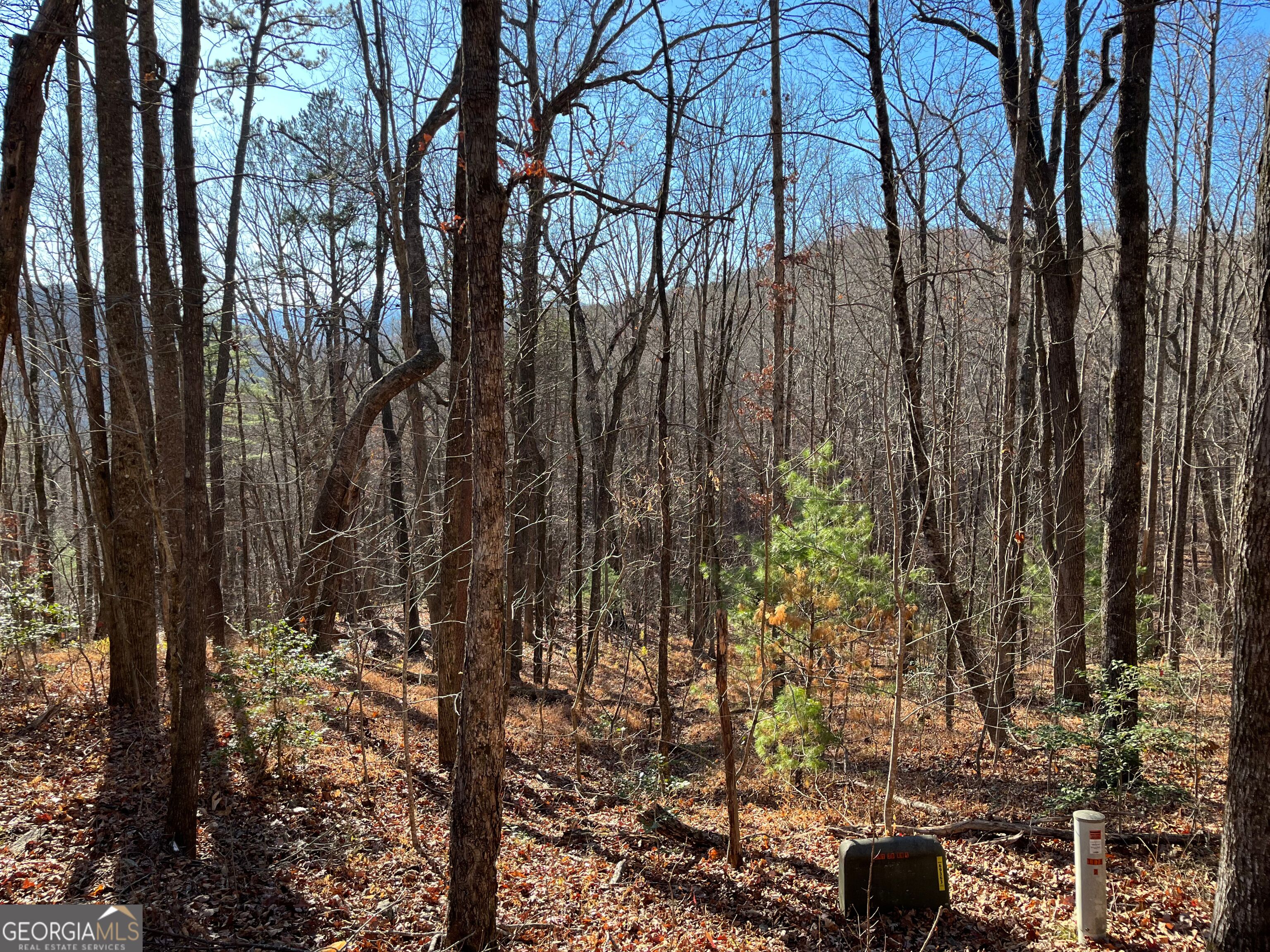 Lot #1 Forest Canopy Way Property Photo 1