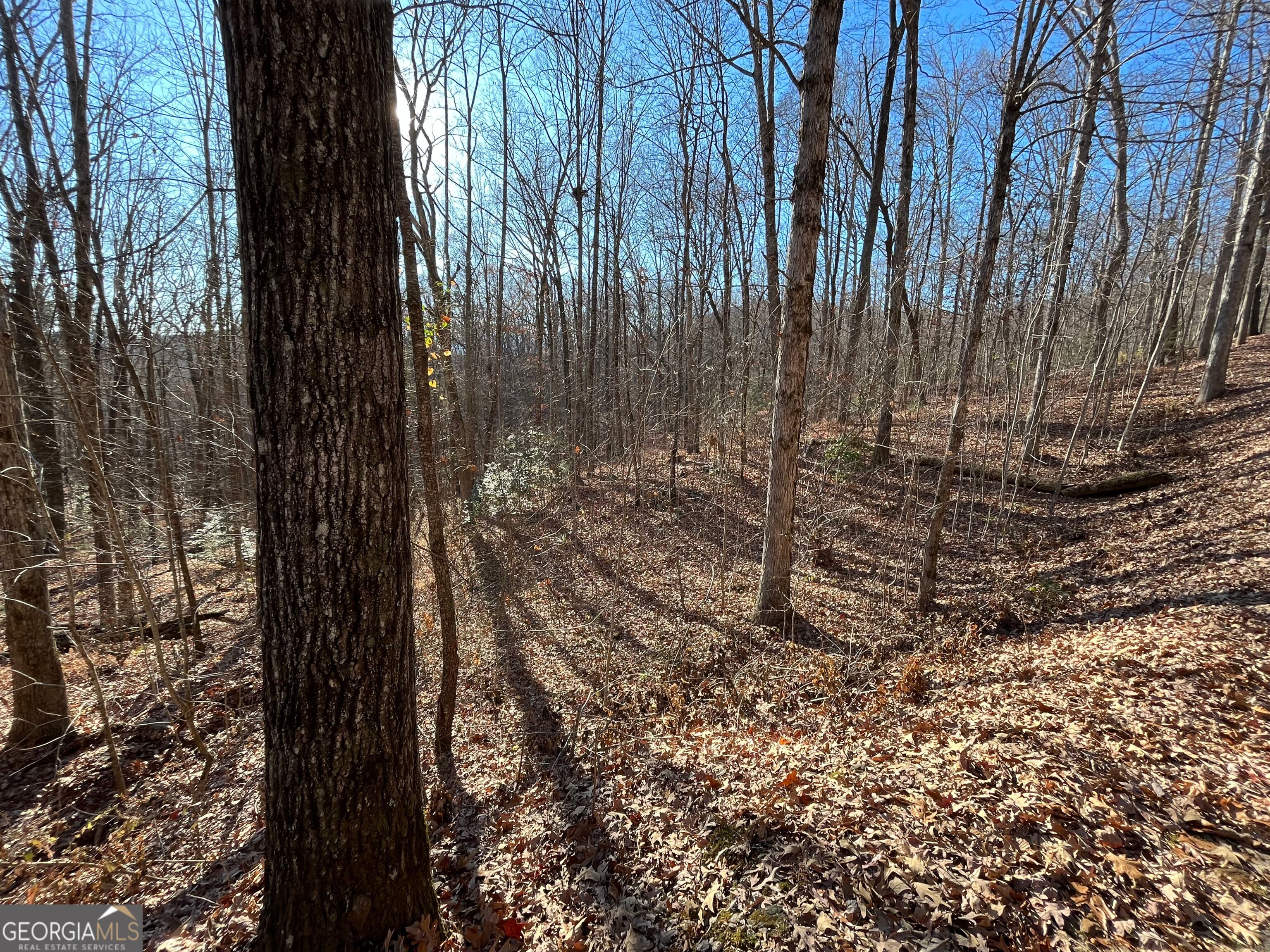Lot #2 Forest Canopy Way Property Photo 1