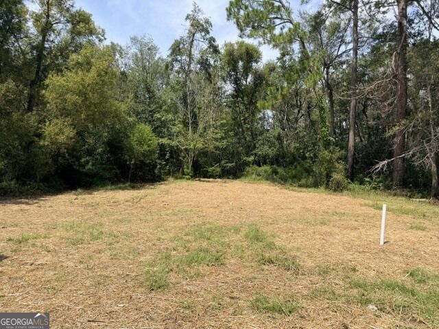 81 Daphney Lane Property Photo 12