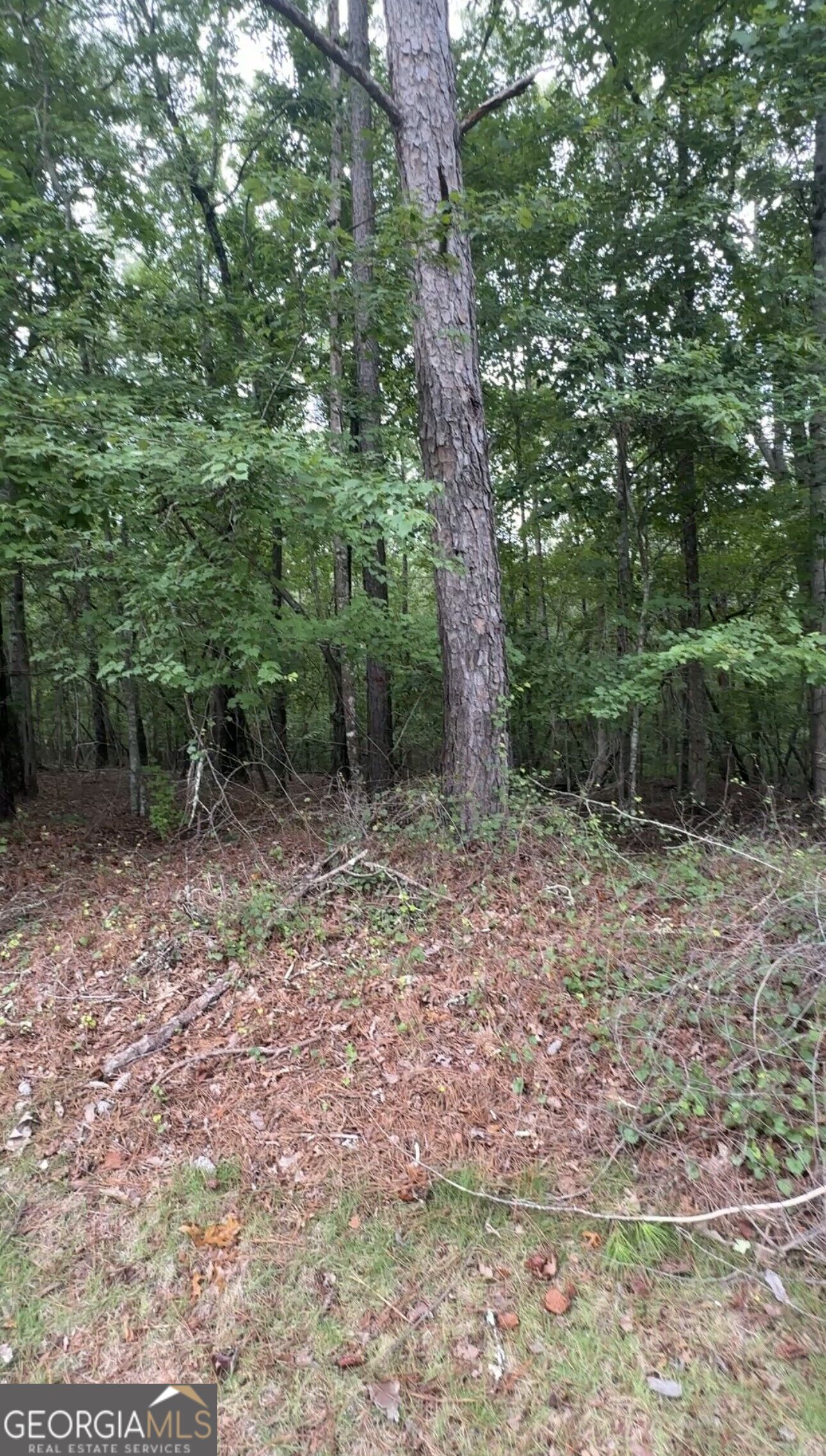 5850 Double Birch Property Photo 1