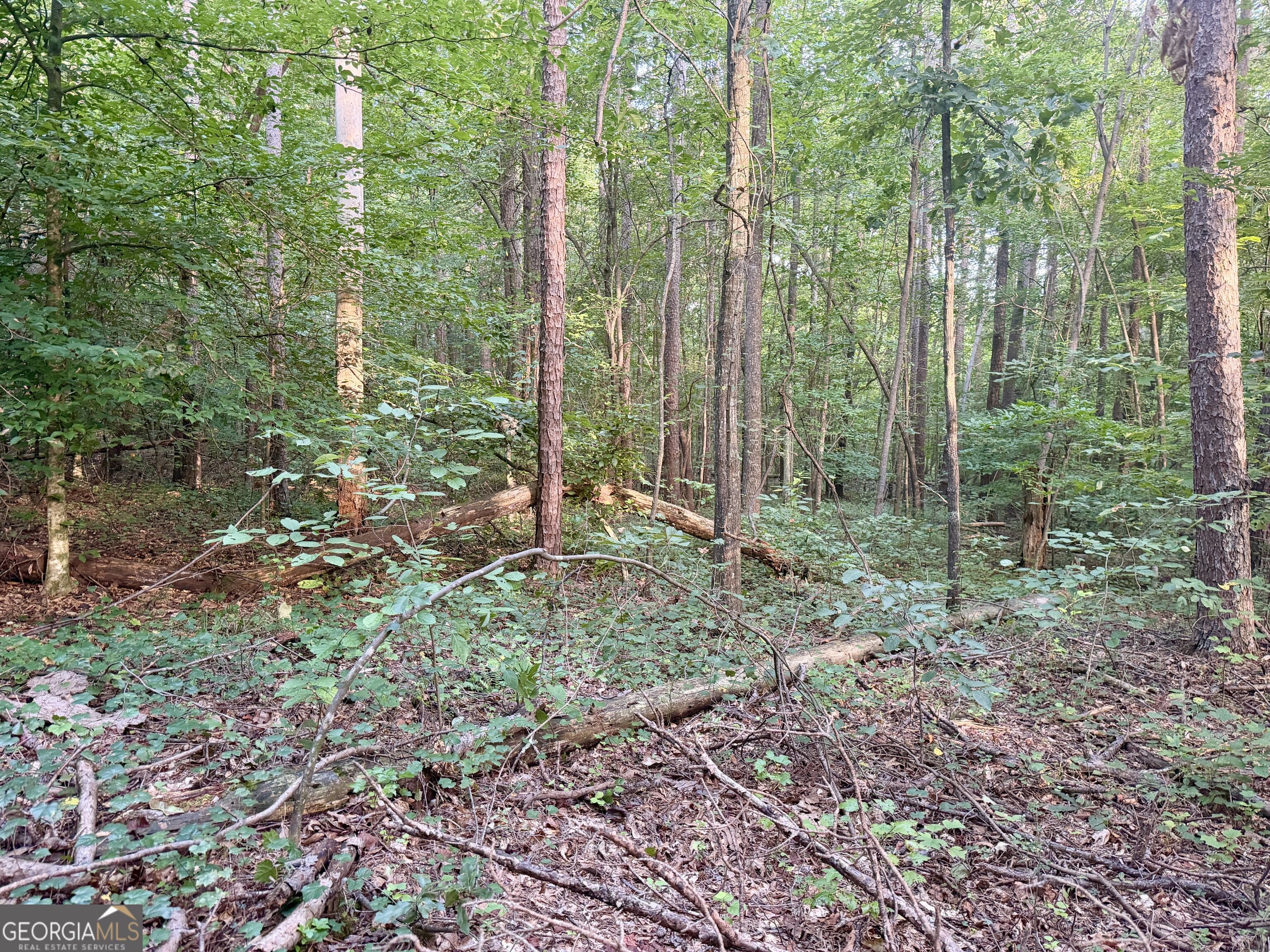 0 N Broad River Road Property Photo 6