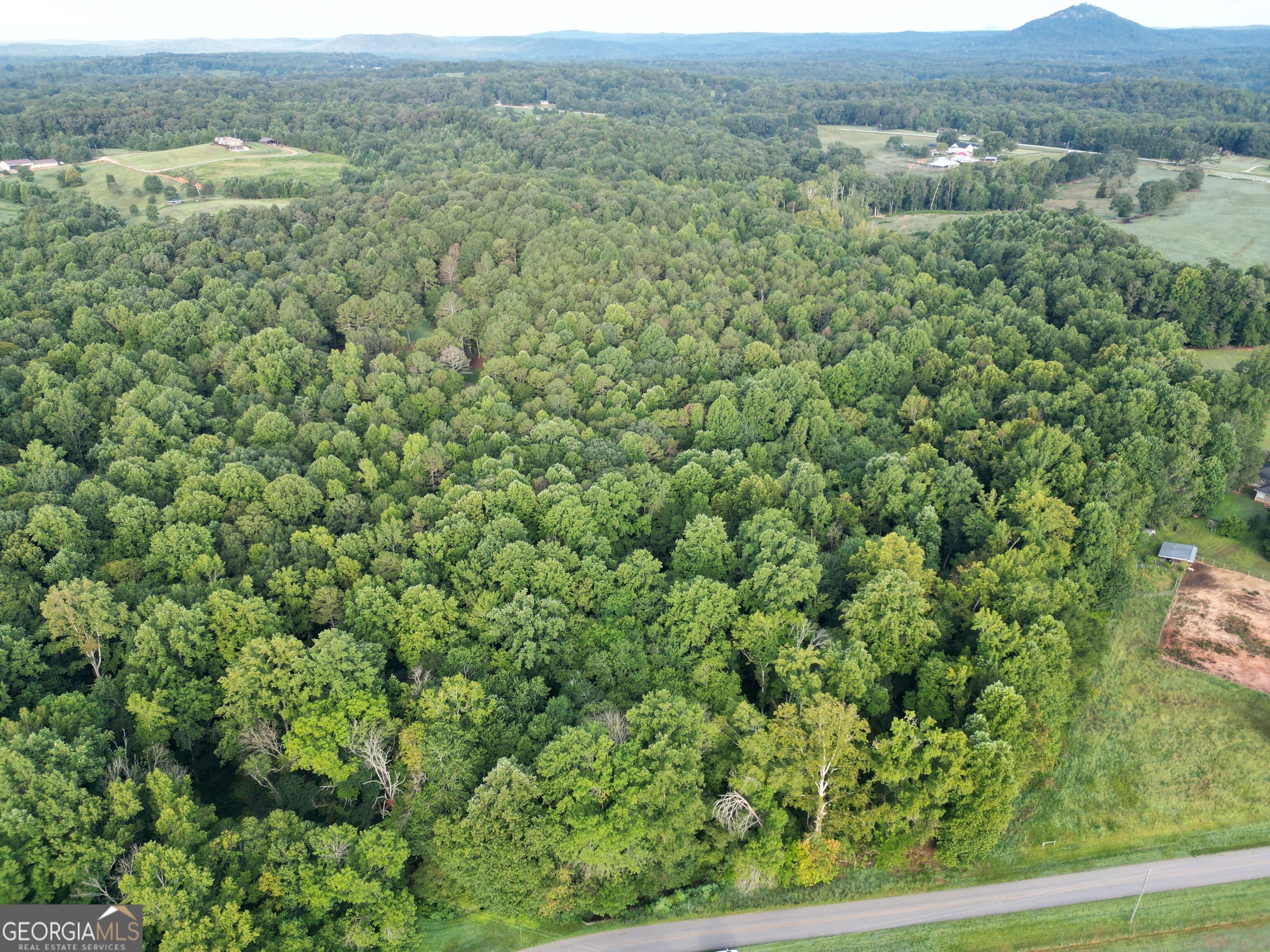 0 N Broad River Road Property Photo 16