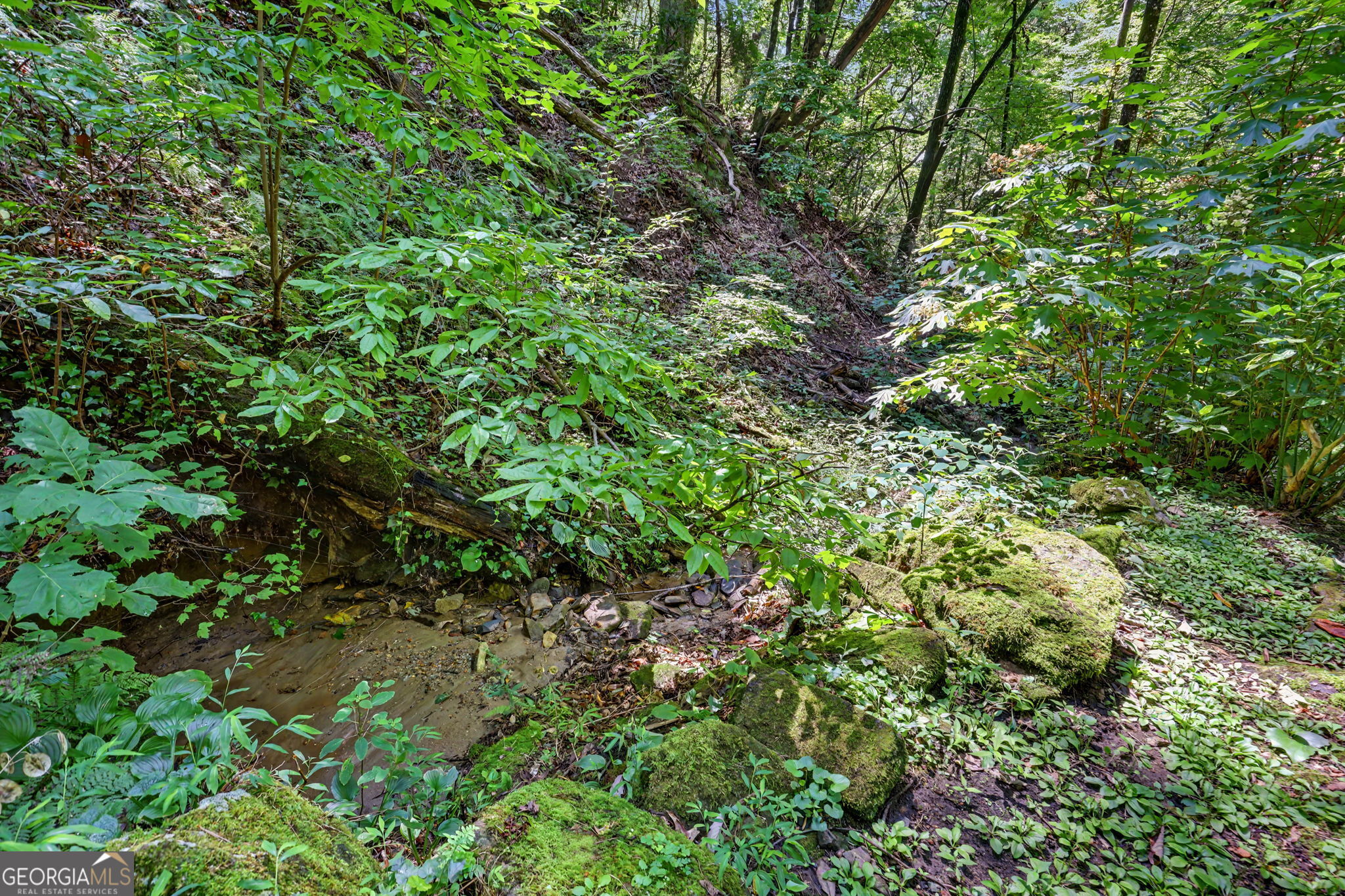 75 Juniper Trail Property Photo 47