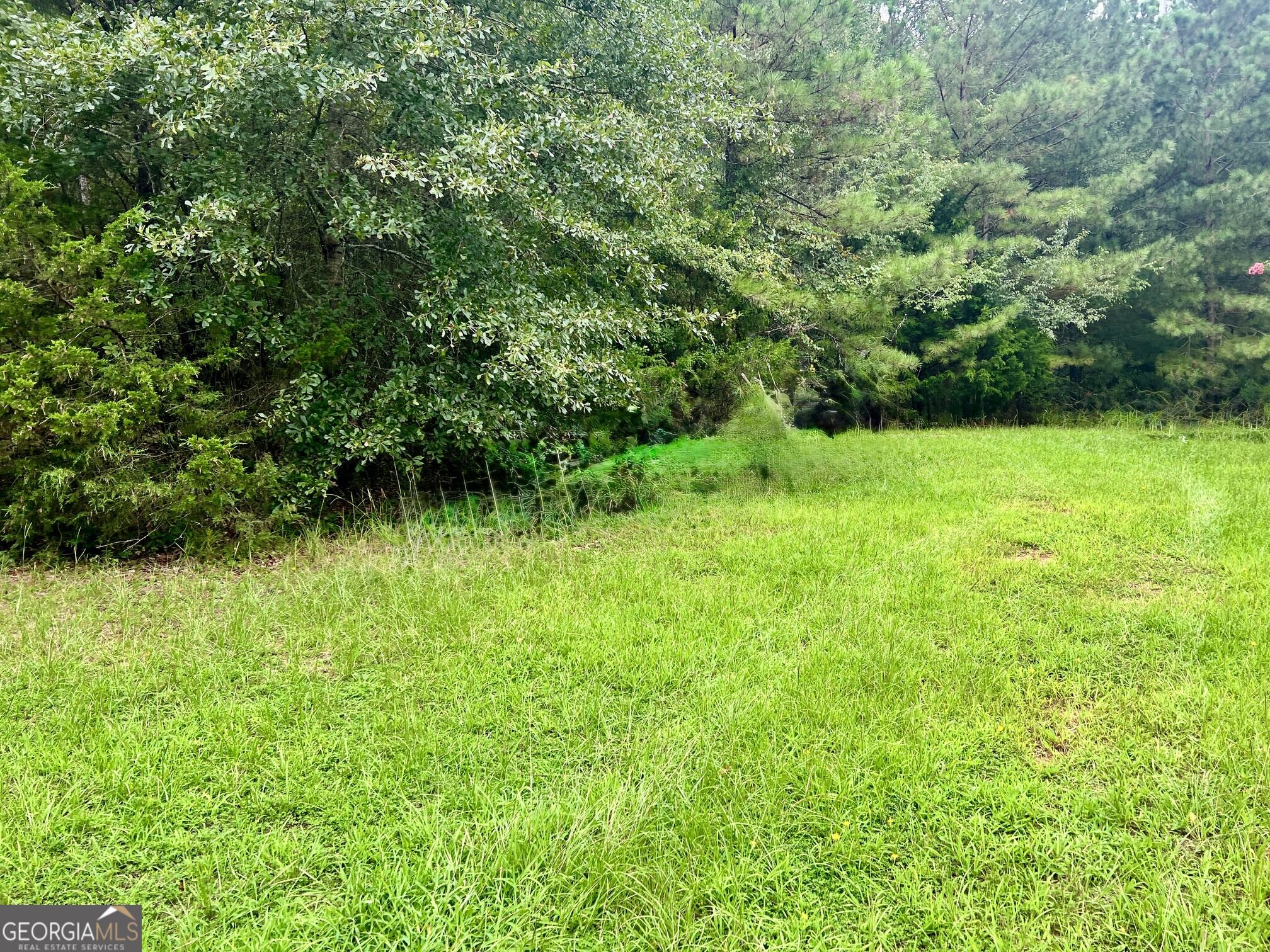 1383 Sims Road Se Property Photo 4
