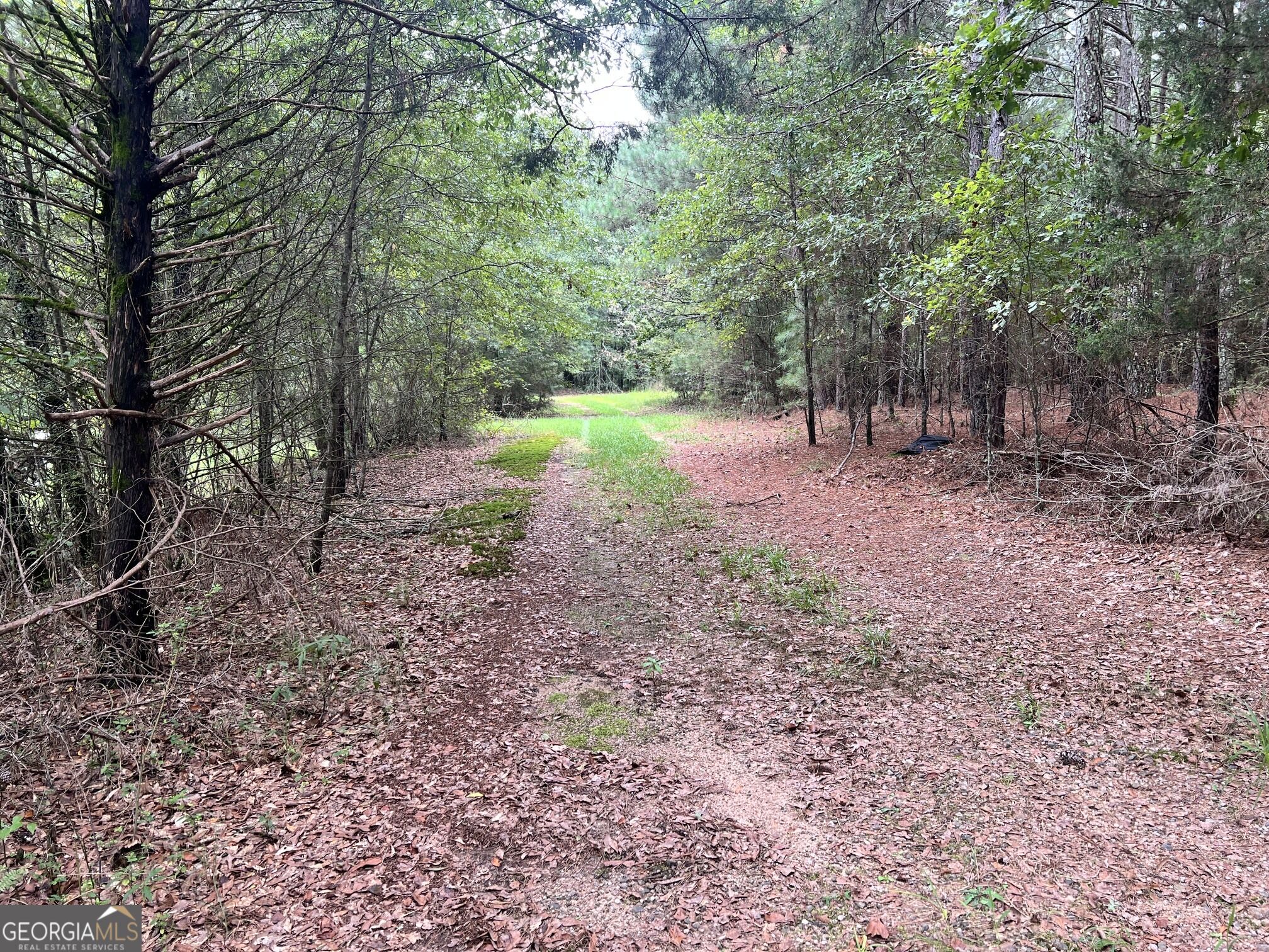 1383 Sims Road Se Property Photo 8