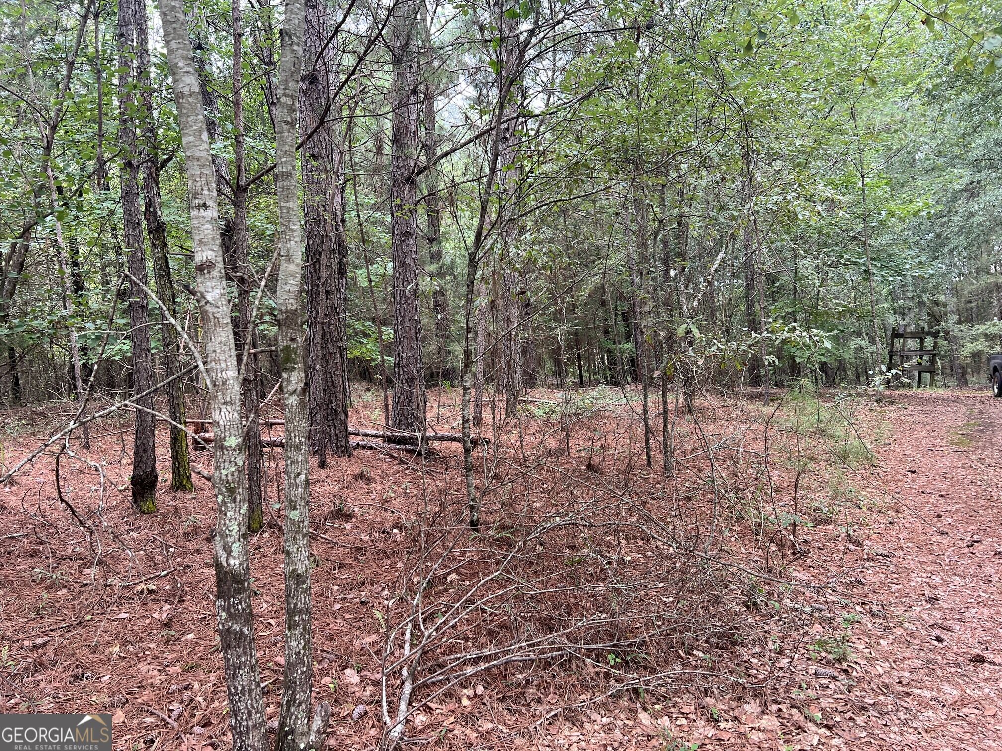 1383 Sims Road Se Property Photo 9