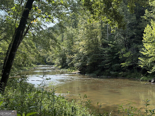 331 Rushing River Rd Property Photo 1