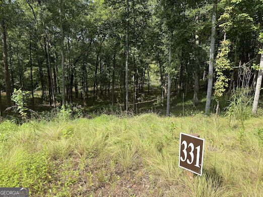331 Rushing River Road Property Photo 3