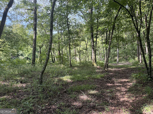 331 Rushing River Road Property Photo 7