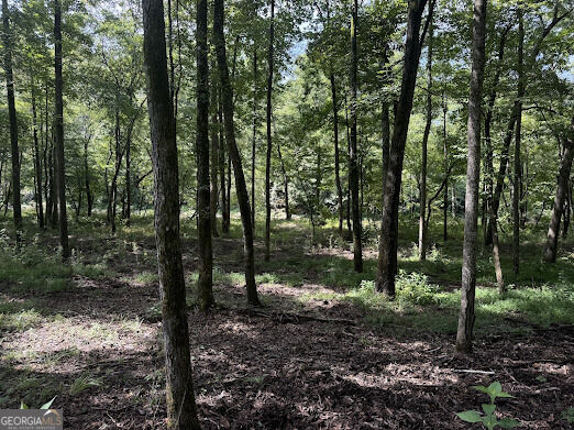 331 Rushing River Road Property Photo 8