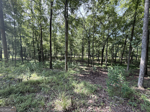331 Rushing River Road Property Photo 9