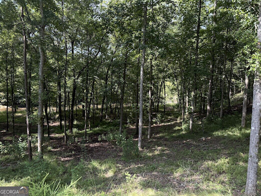 331 Rushing River Road Property Photo 10