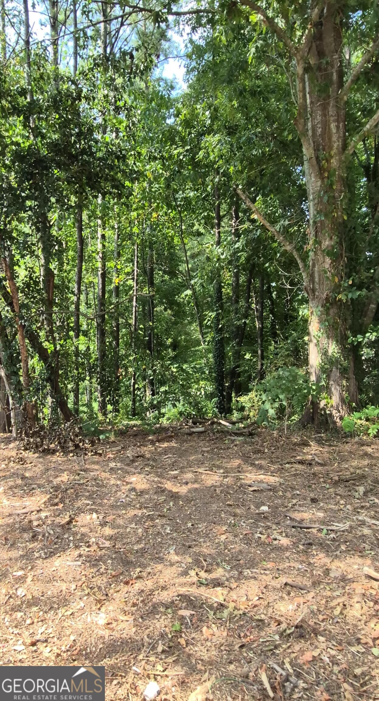 1077 Crooked Creek Road Property Photo 1