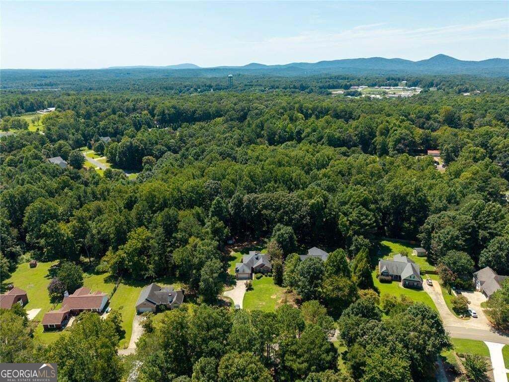 122 Keeble Creek Drive Property Photo 46