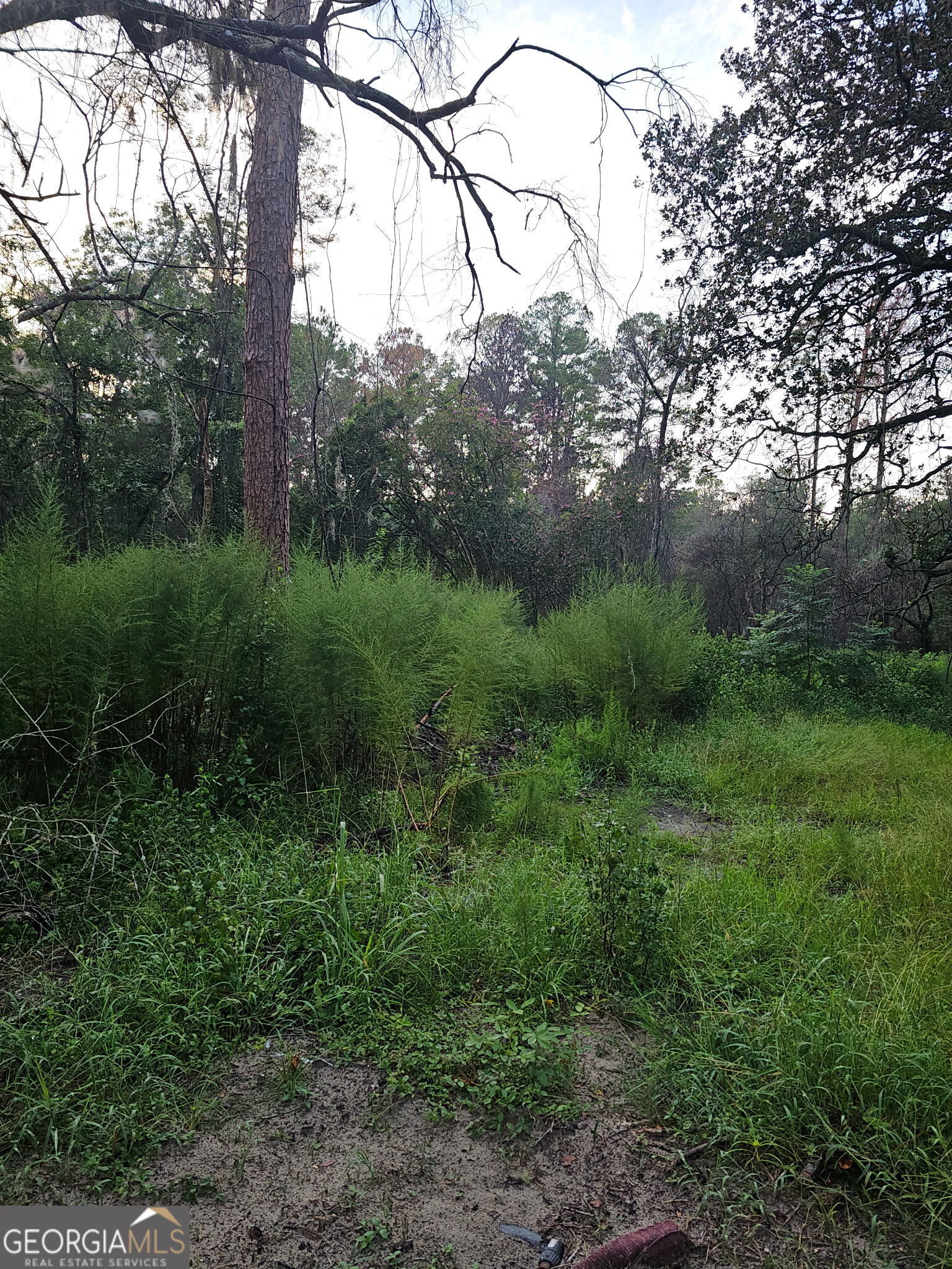 373 Carl Burney Road Property Photo 3