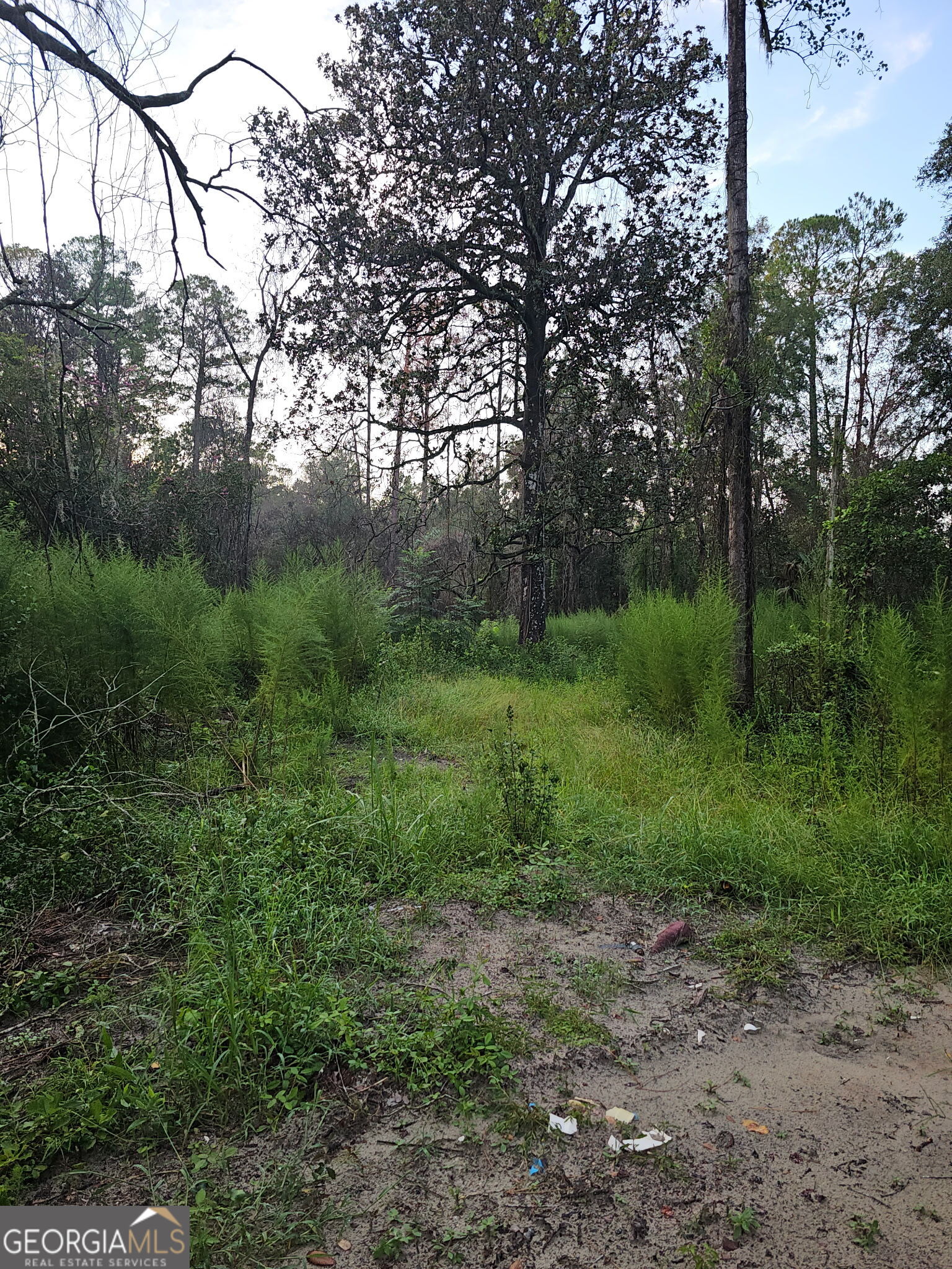 373 Carl Burney Road Property Photo 4