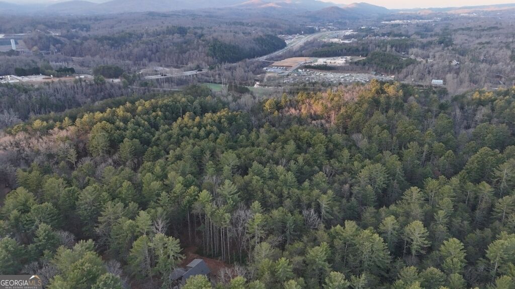 345 Deer Trail Property Photo 41