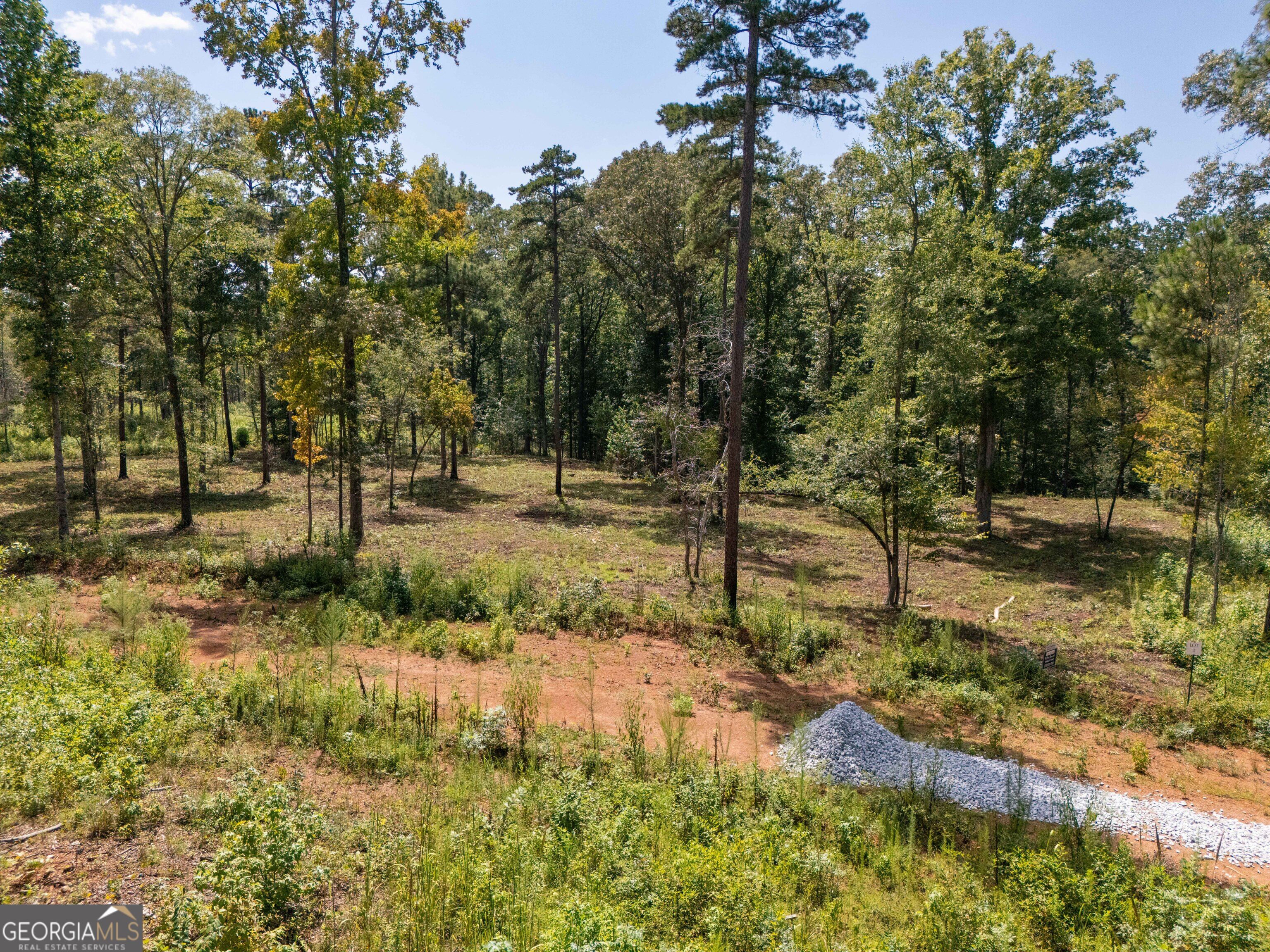 0 Hwy 100 Property Photo 14
