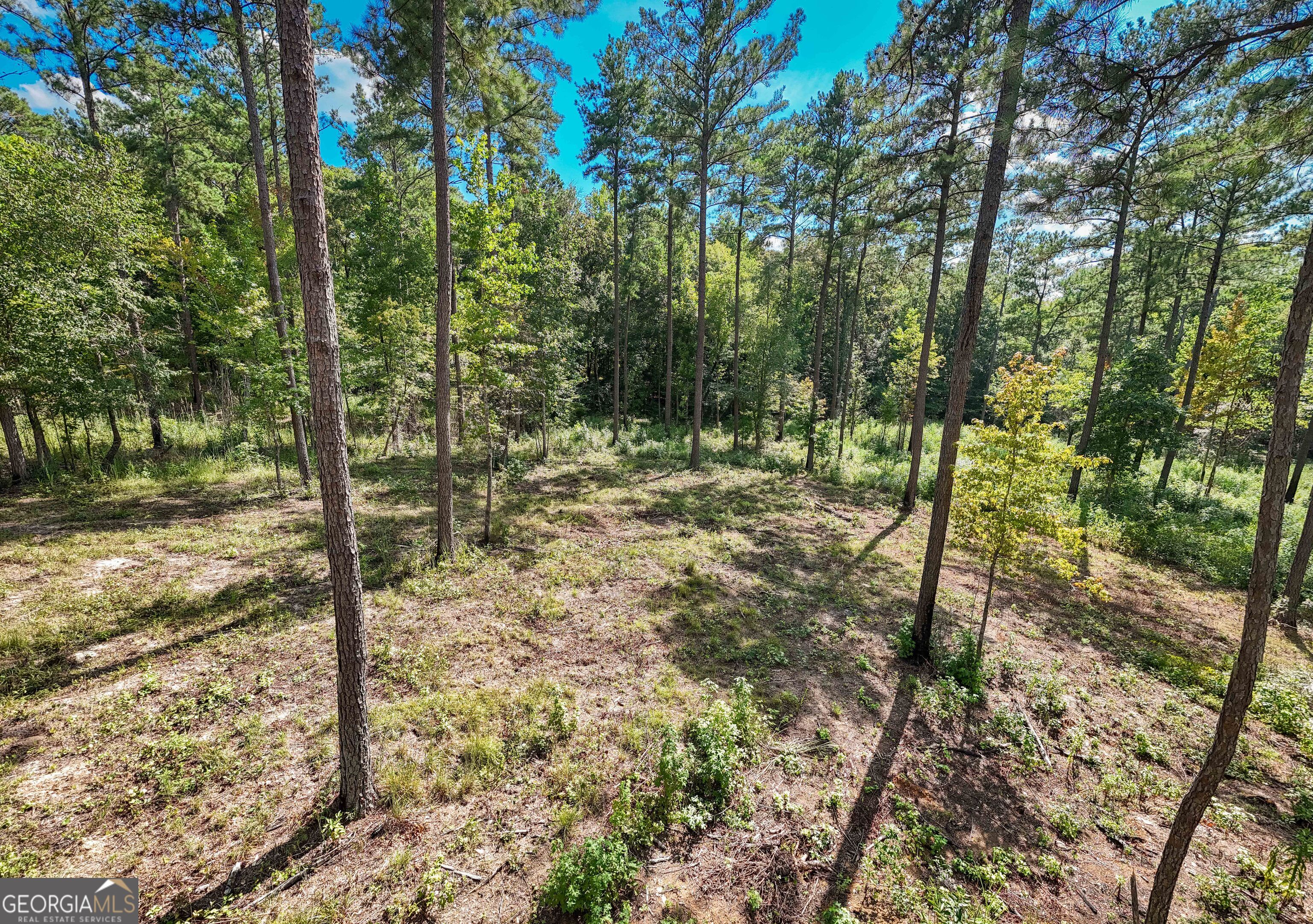 0 Hwy 100 Property Photo 16