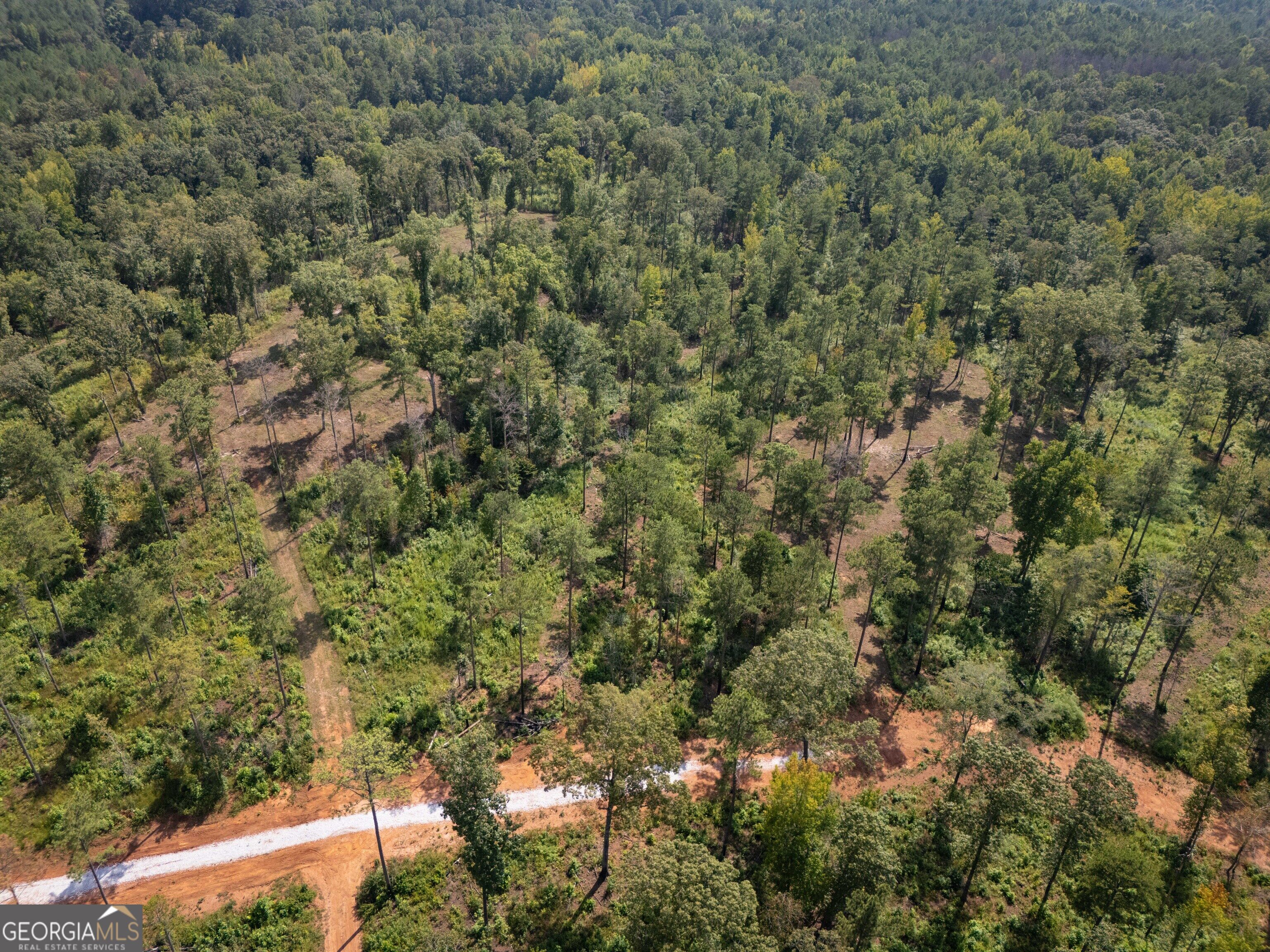 0 Hwy 100 Property Photo 32