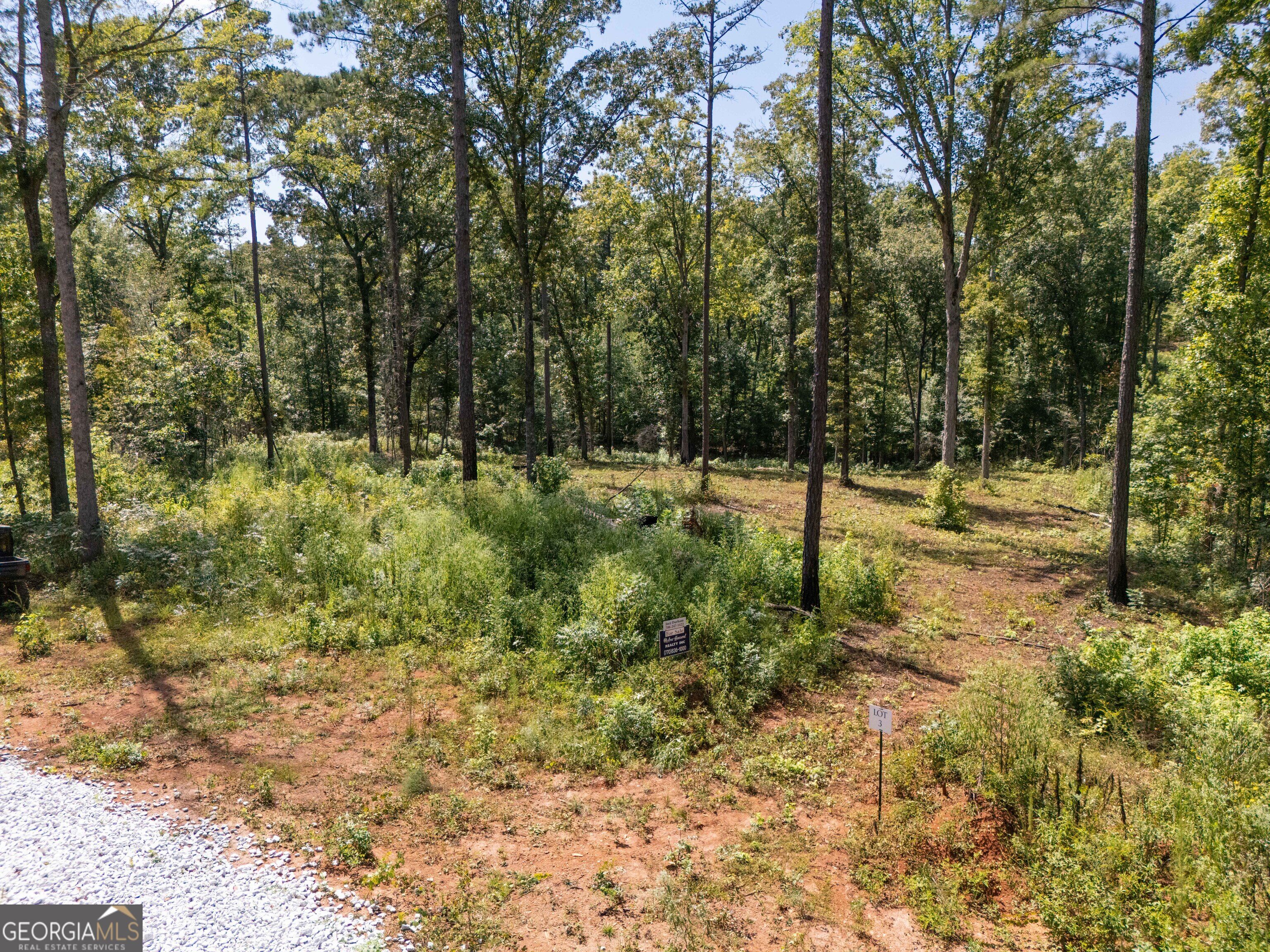 0 Hwy 100 Property Photo 8