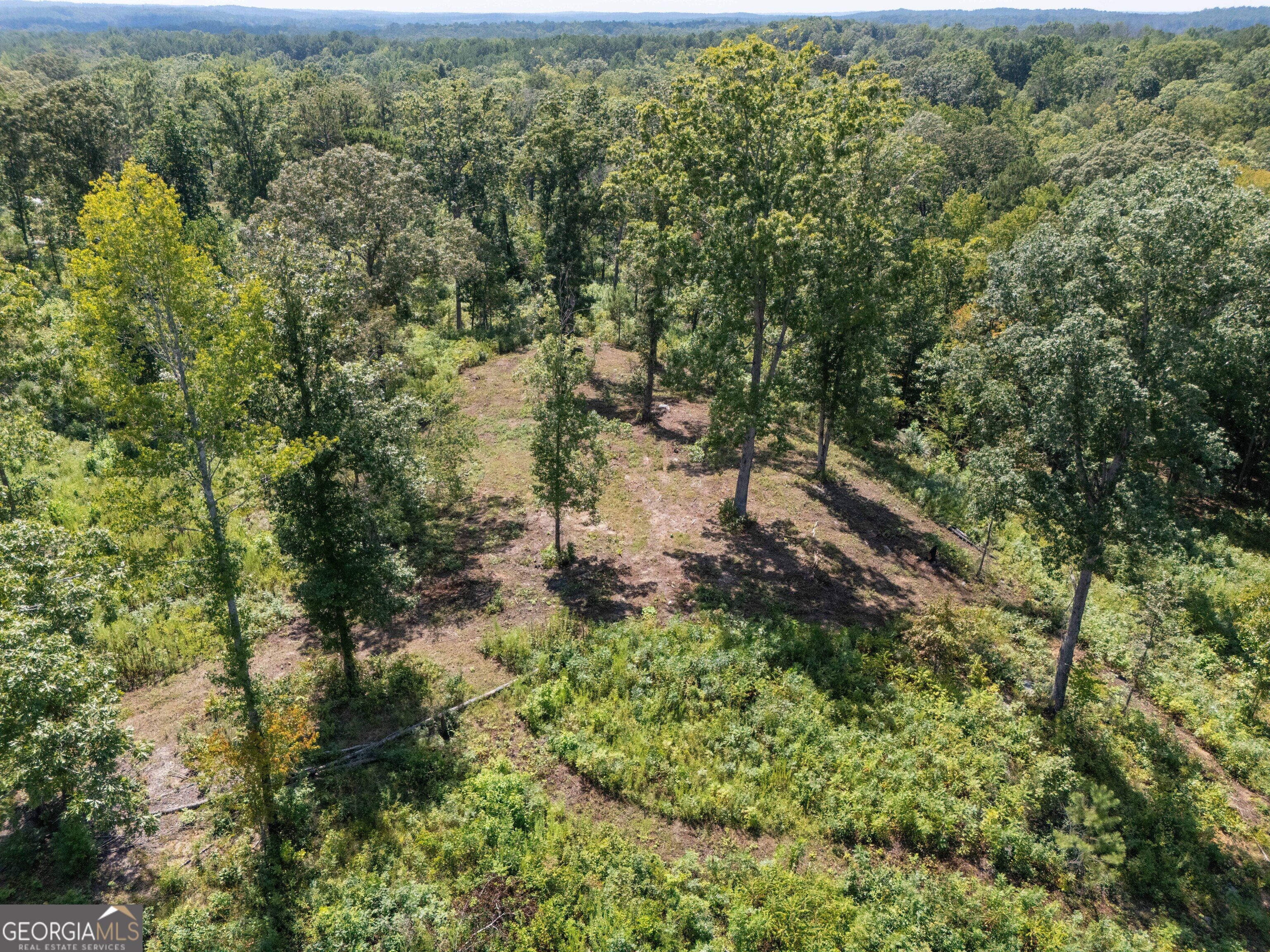 0 Hwy 100 Property Photo 10
